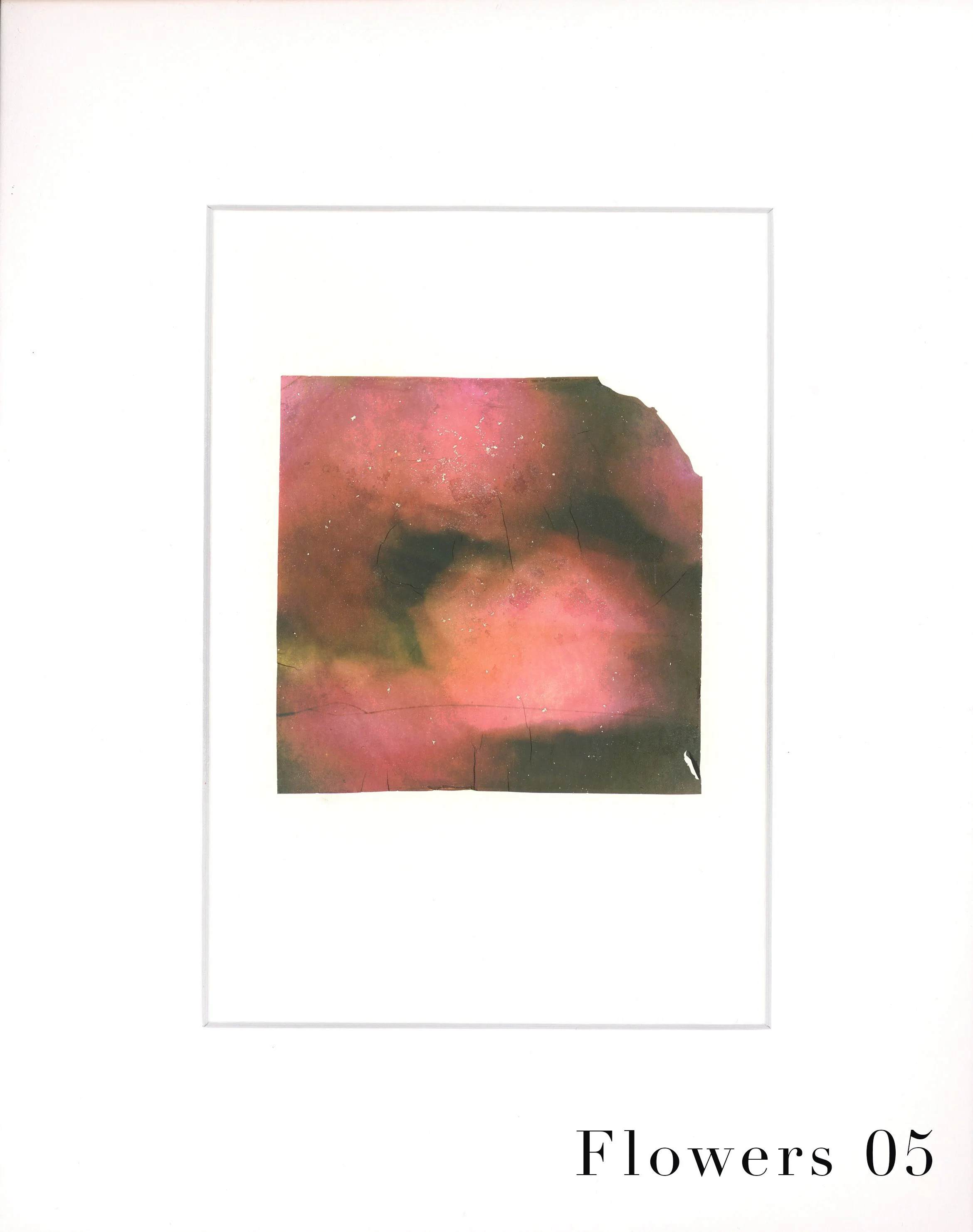 EmulsionTransfer - Flowers 05 copy.jpg
