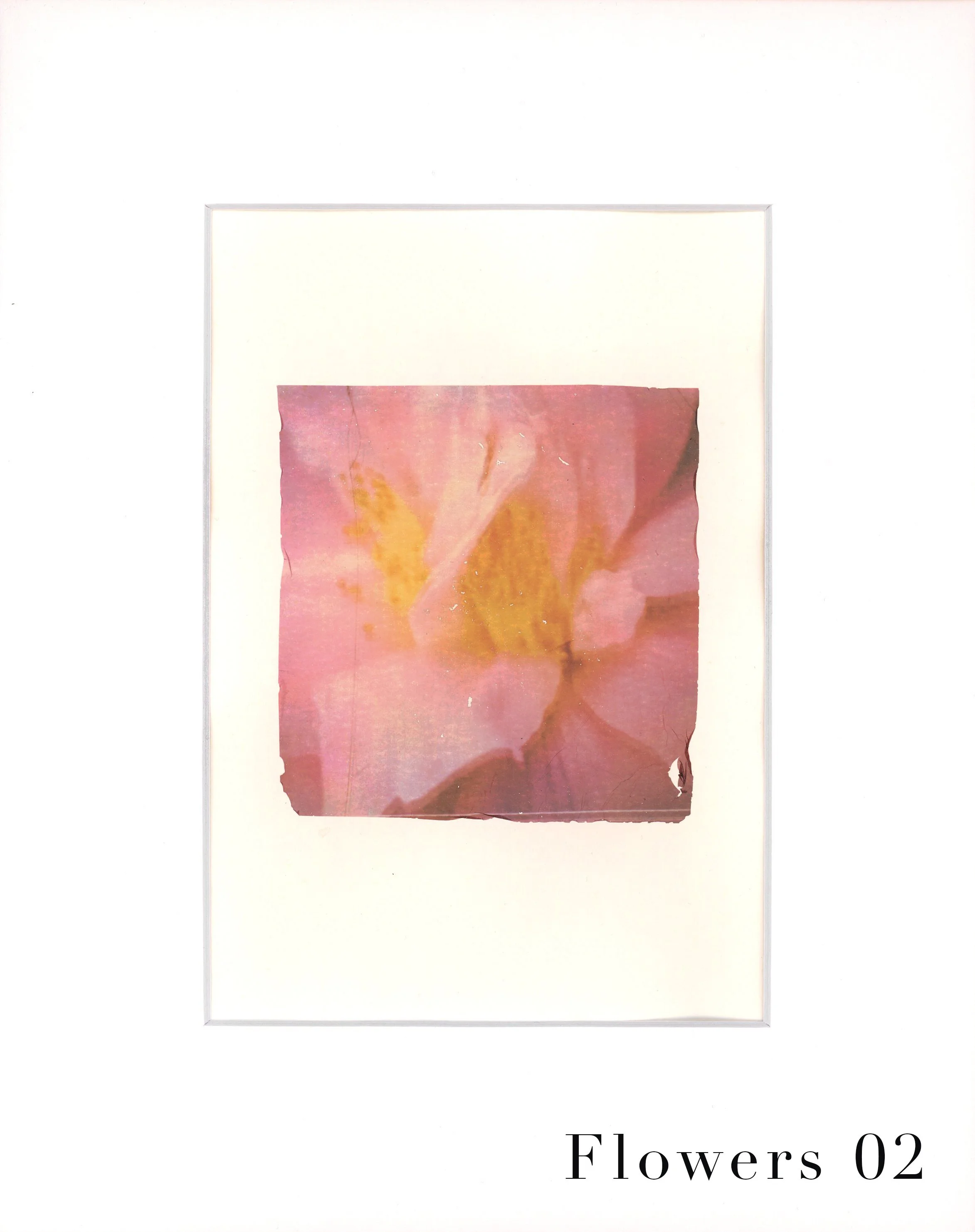 EmulsionTransfer - Flowers 02 copy.jpg