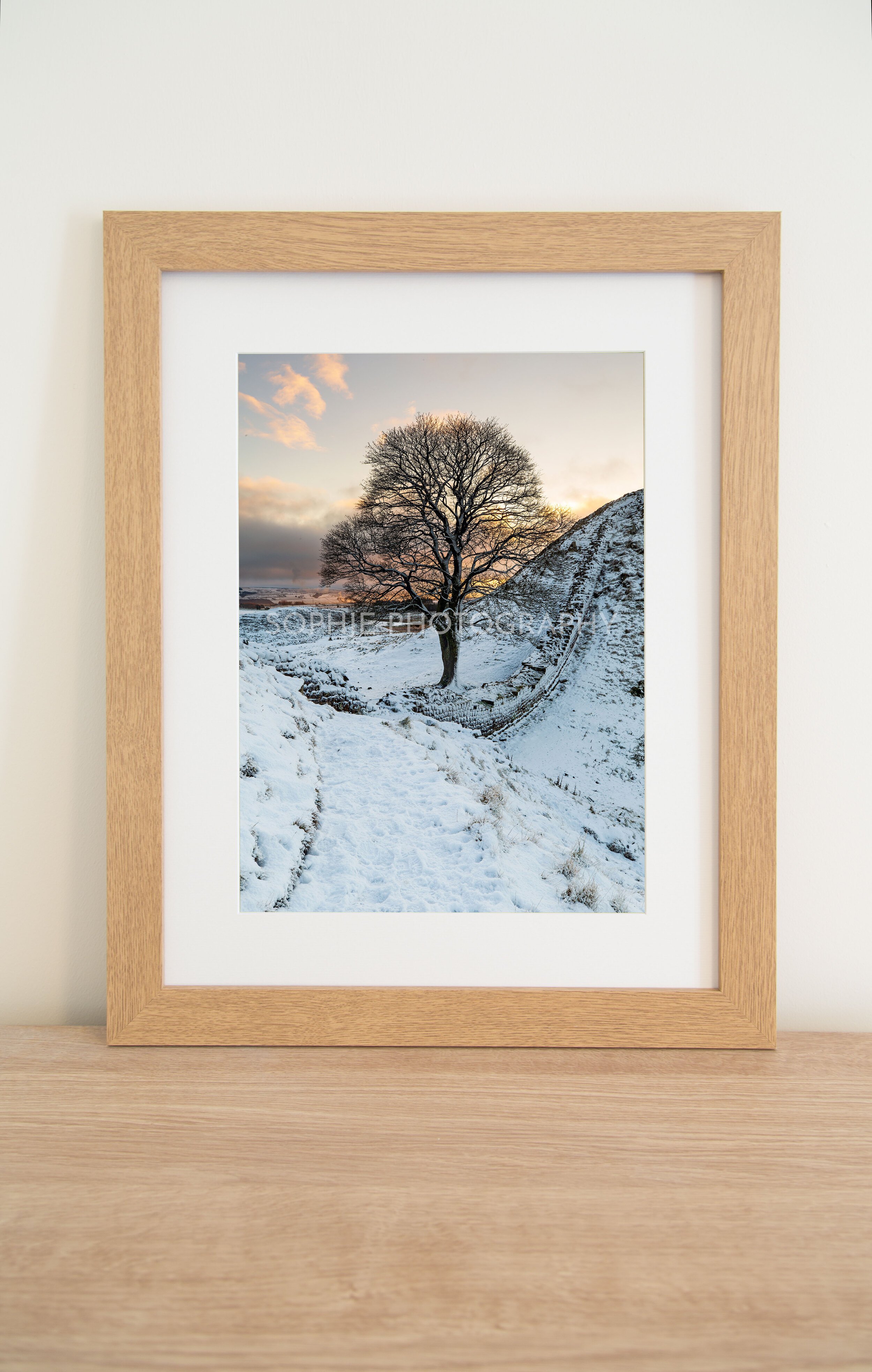 Sycamore+Snow+05+-+WO.jpg
