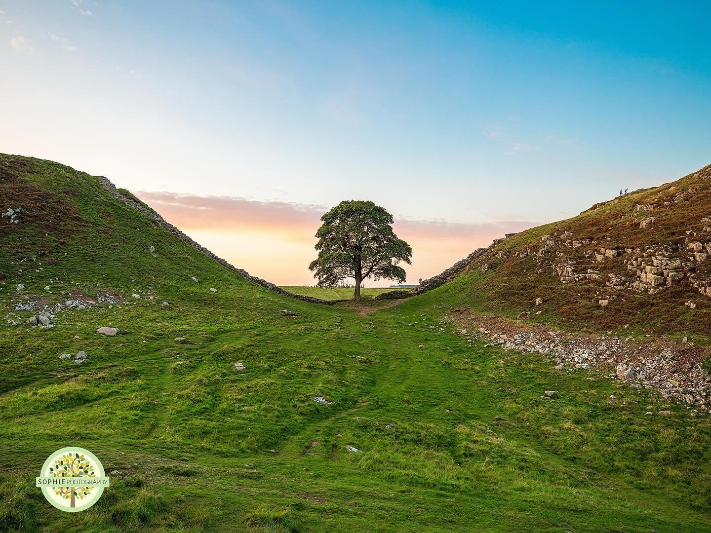 7 months ago the North East and millions of others around the world were devastated to hear one or most loved and iconic landmarks, Sycamore Gap, was mindlessly cut down overnight.⁣
As many of you will have now heard, yesterday 2 men were charged wit