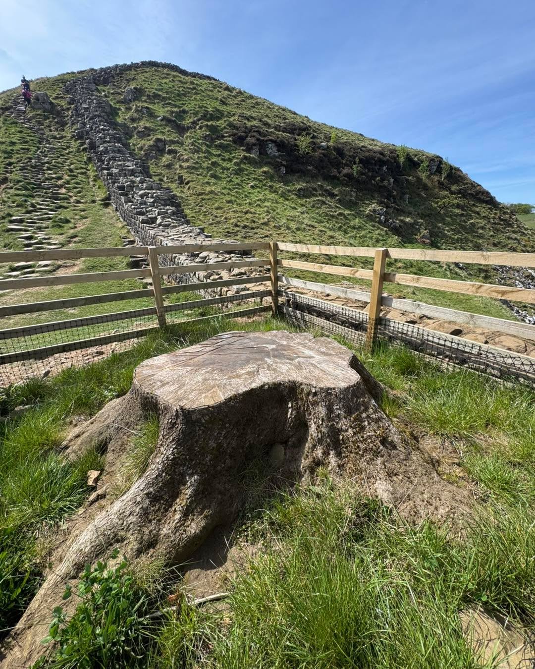 Today was my first trip back to Sycamore Gap since the day we all found out it had been cut down back in September 23. I was there to do some filming for Channel 4, it felt quite emotional!