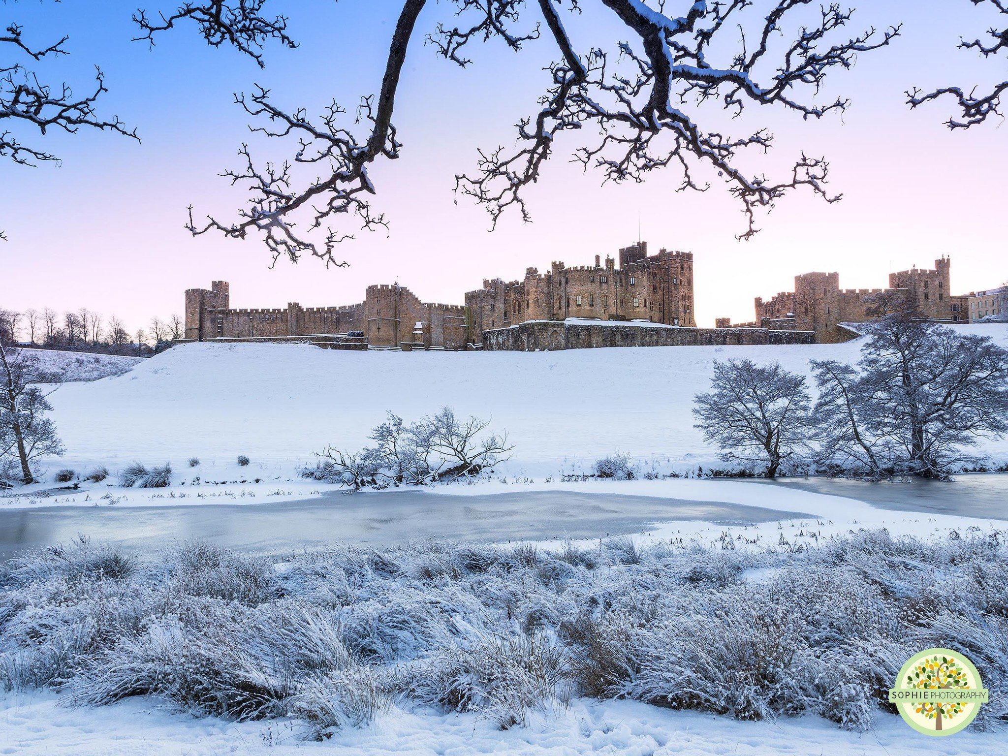 What a week it has been for me as a photographer! I&rsquo;ve absolutely loved being out and about capturing the snow. But today, with the wind and bitter cold, I&rsquo;m quite happy admiring it from the warmth of my cosy living room instead.

I&rsquo
