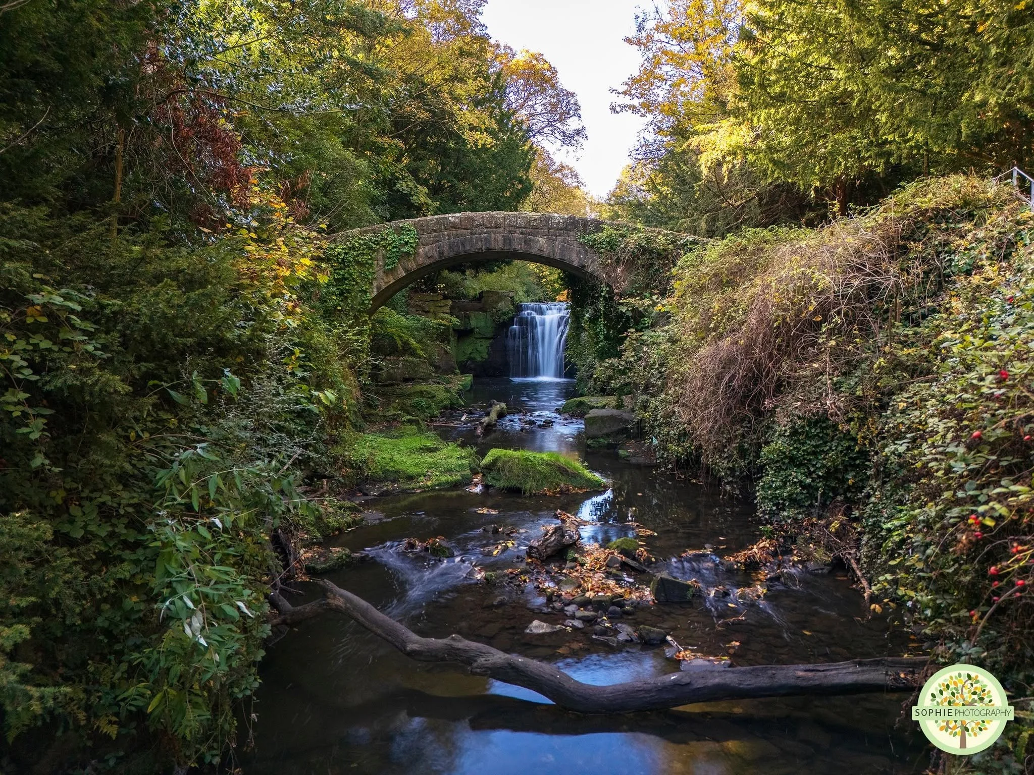 Seeing as you all seemed to enjoy my reel of Jesmond Dene the other day, I wanted to share my favourite photograph taken on the same day 📸 

It&rsquo;s such a gorgeous place to visit, especially as a photographer! 

#SophiePhotography #NewcastlePhot