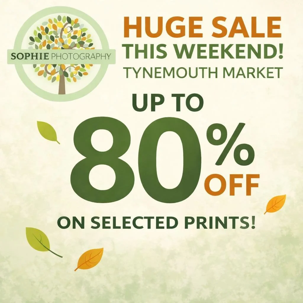 We&rsquo;ve been busy preparing for a huge sale at Tynemouth Market this weekend! 🍃

There&rsquo;ll be up to 80% off selected prints, with some starting from just &pound;3. We&rsquo;ve also got heavily reduced frames, fridge magnets, keyrings, and e