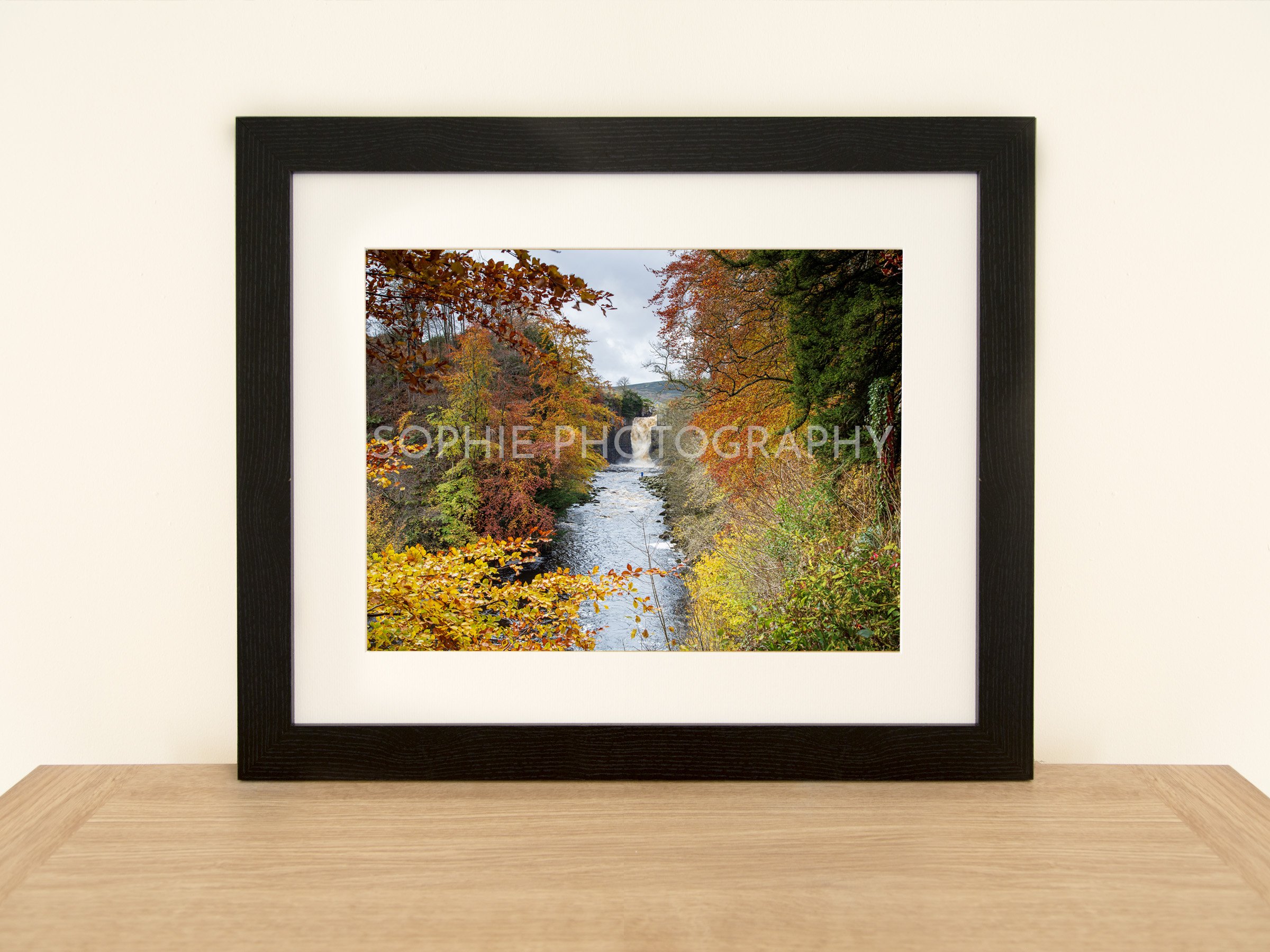 High Force Autumn 02 copy.jpg
