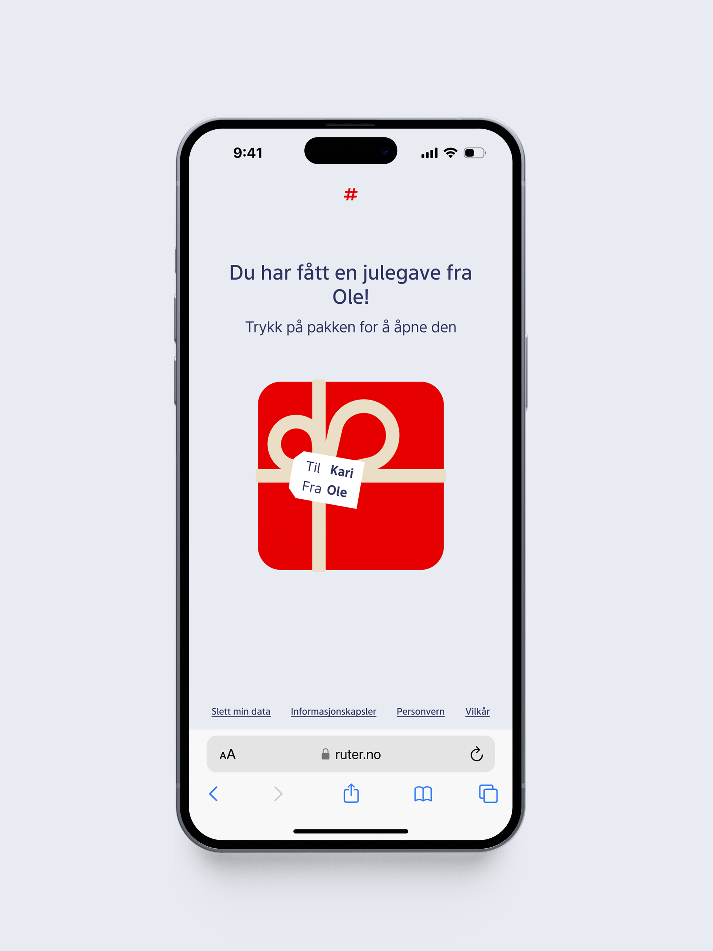 Ruter Campaign