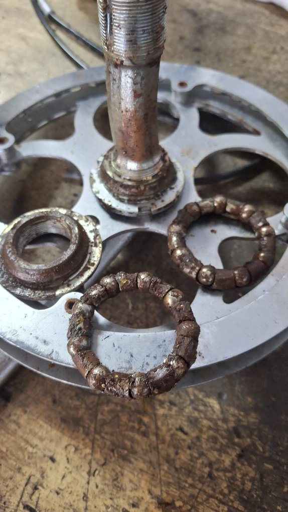 Looking for a Bike Shop Near Me in Sarasota?