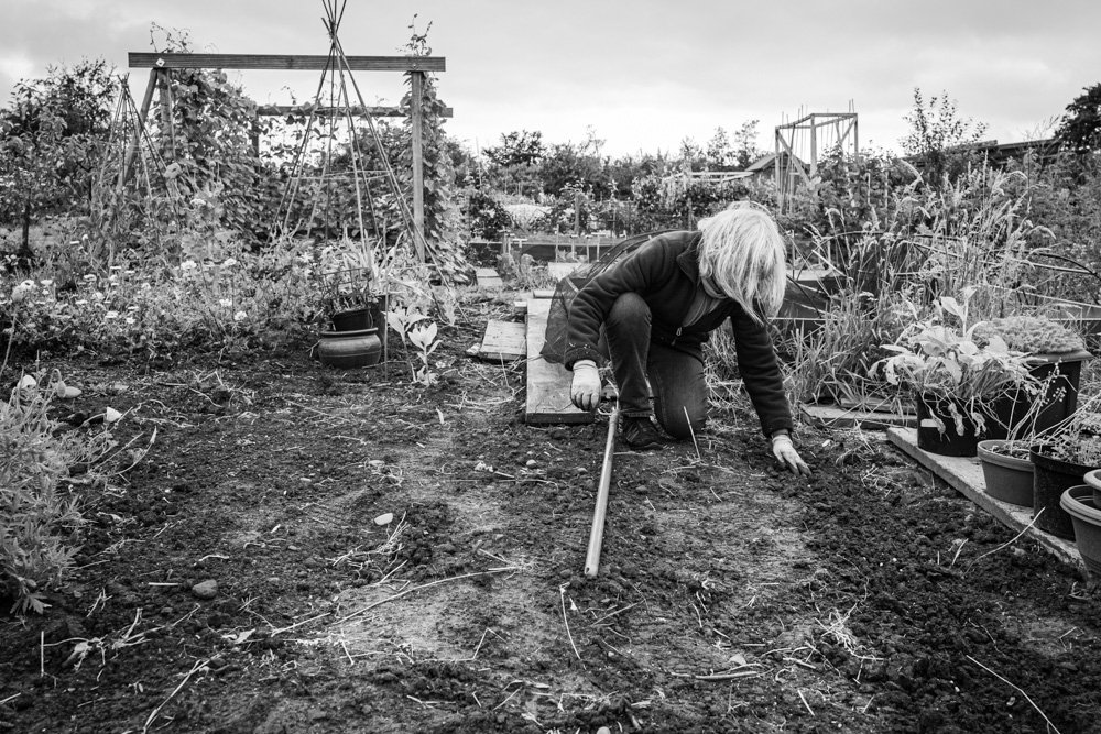L1010234-Edit.jpg