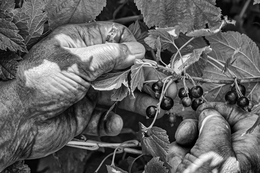 L1010026-Edit.jpg