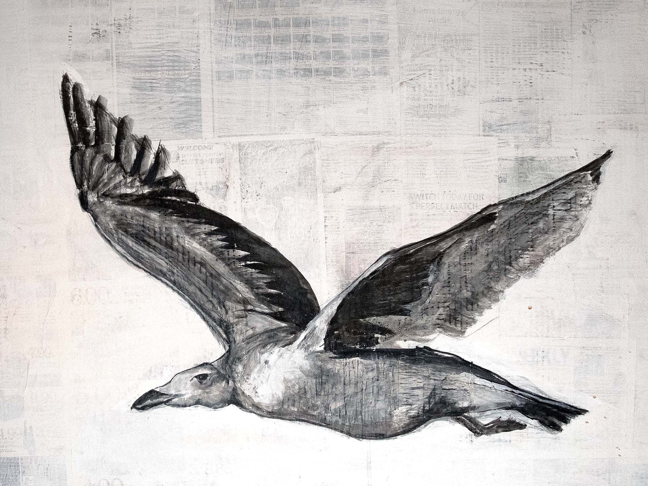 $1,295 | Herring Gull (Larus argentatus) 81%