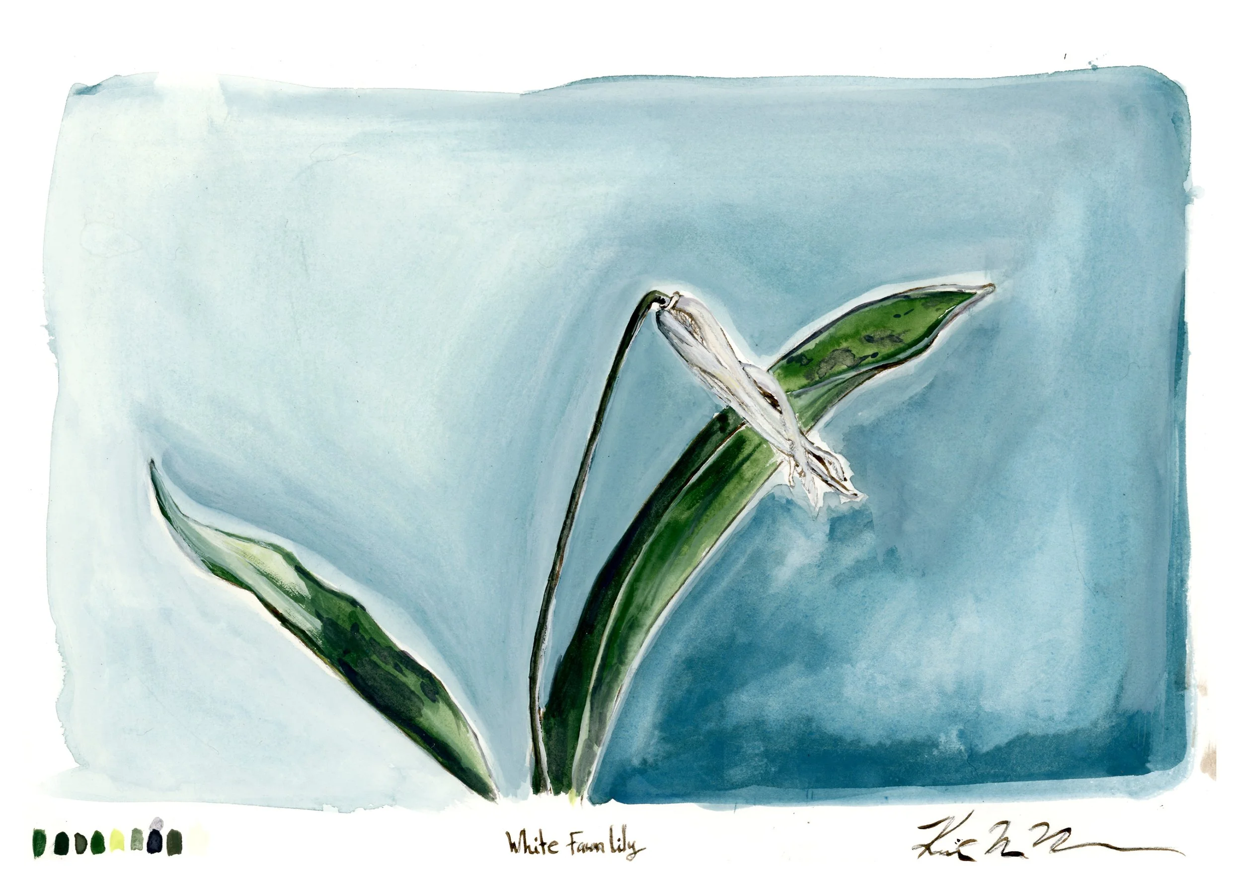 whitefawnlily-web-full.jpg