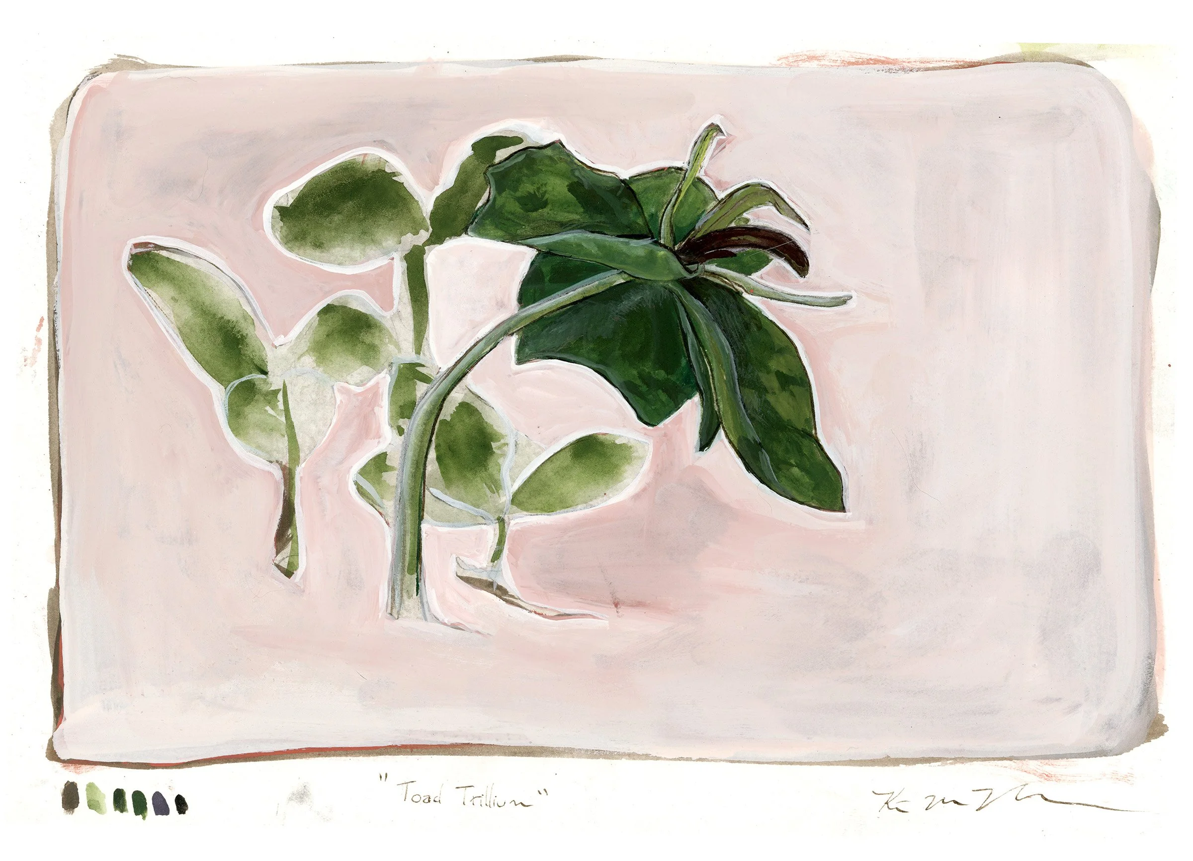 trillium-web-full.jpg