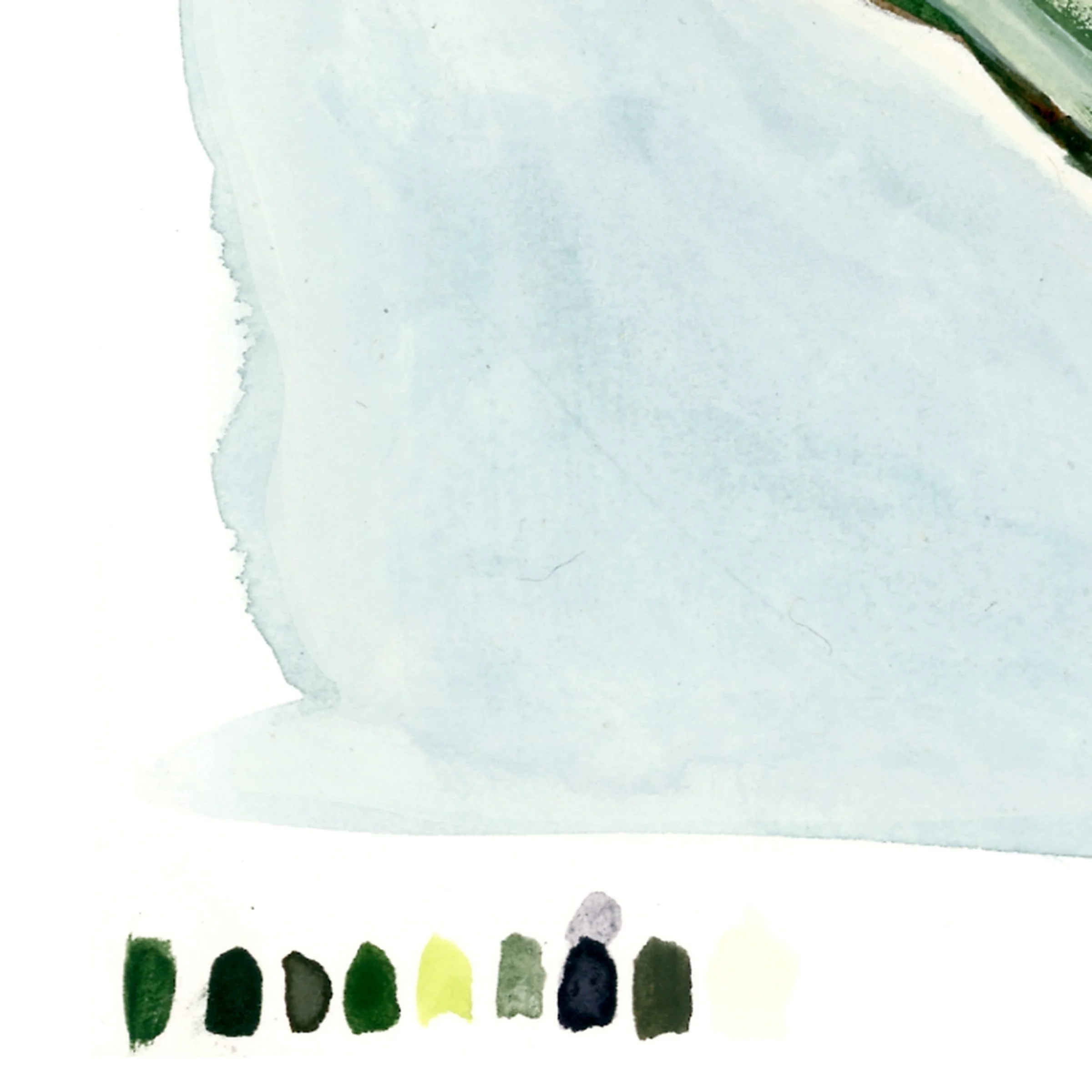 whitefawnlily-web-crop3.jpg