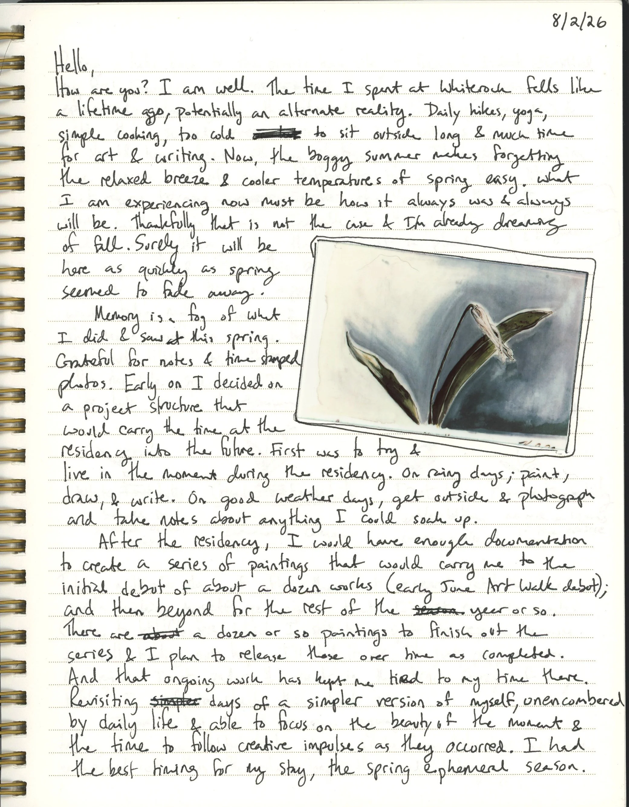 studioletter-fawnlily-1.jpg