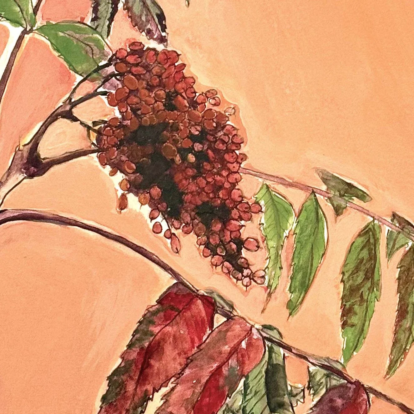 sumac_painting-crop2.jpg