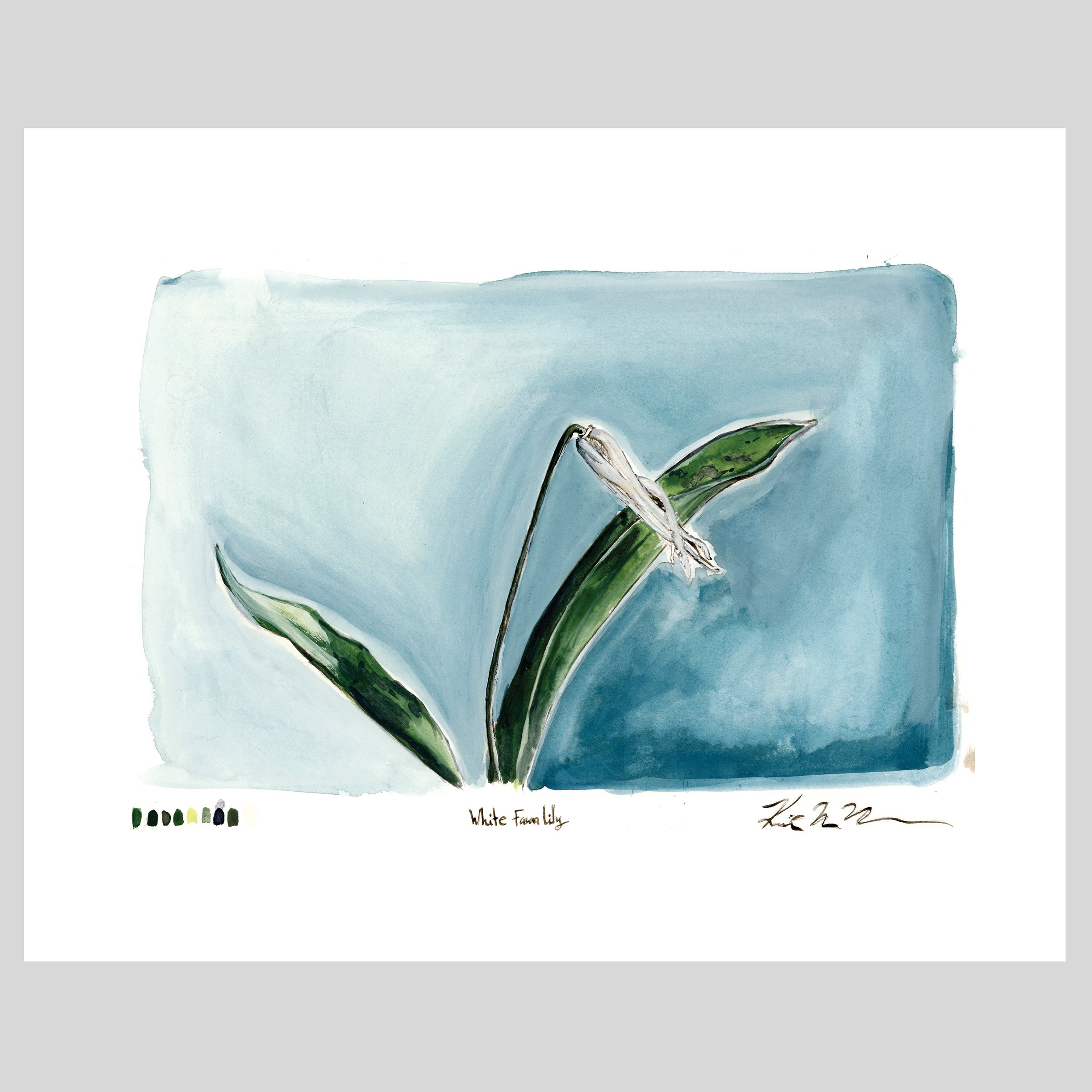 whitefawnlily-print-8x10.jpg
