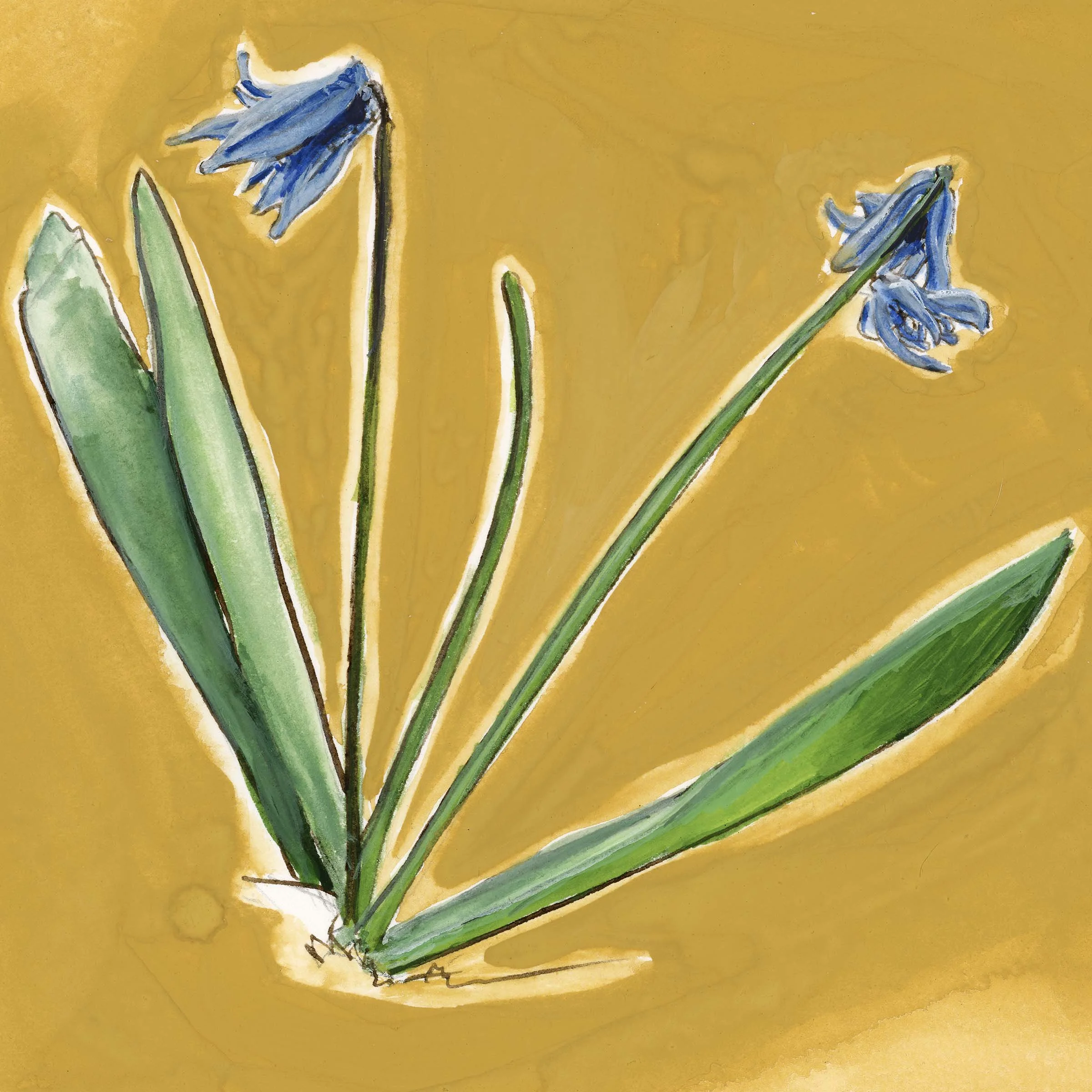 Siberian Squill | Original Gouache Painting