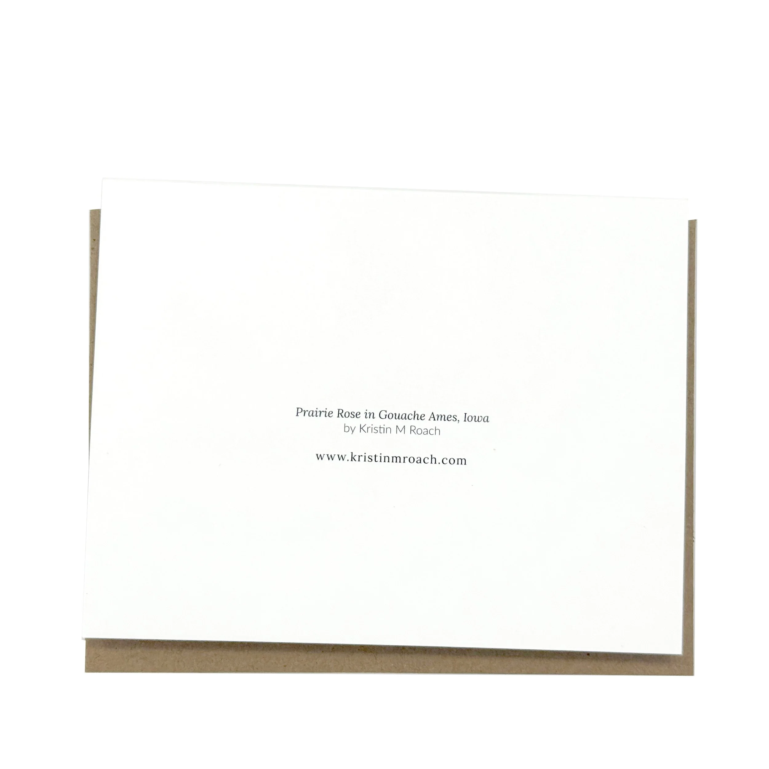 prairie_rose-card-b-lo.jpg