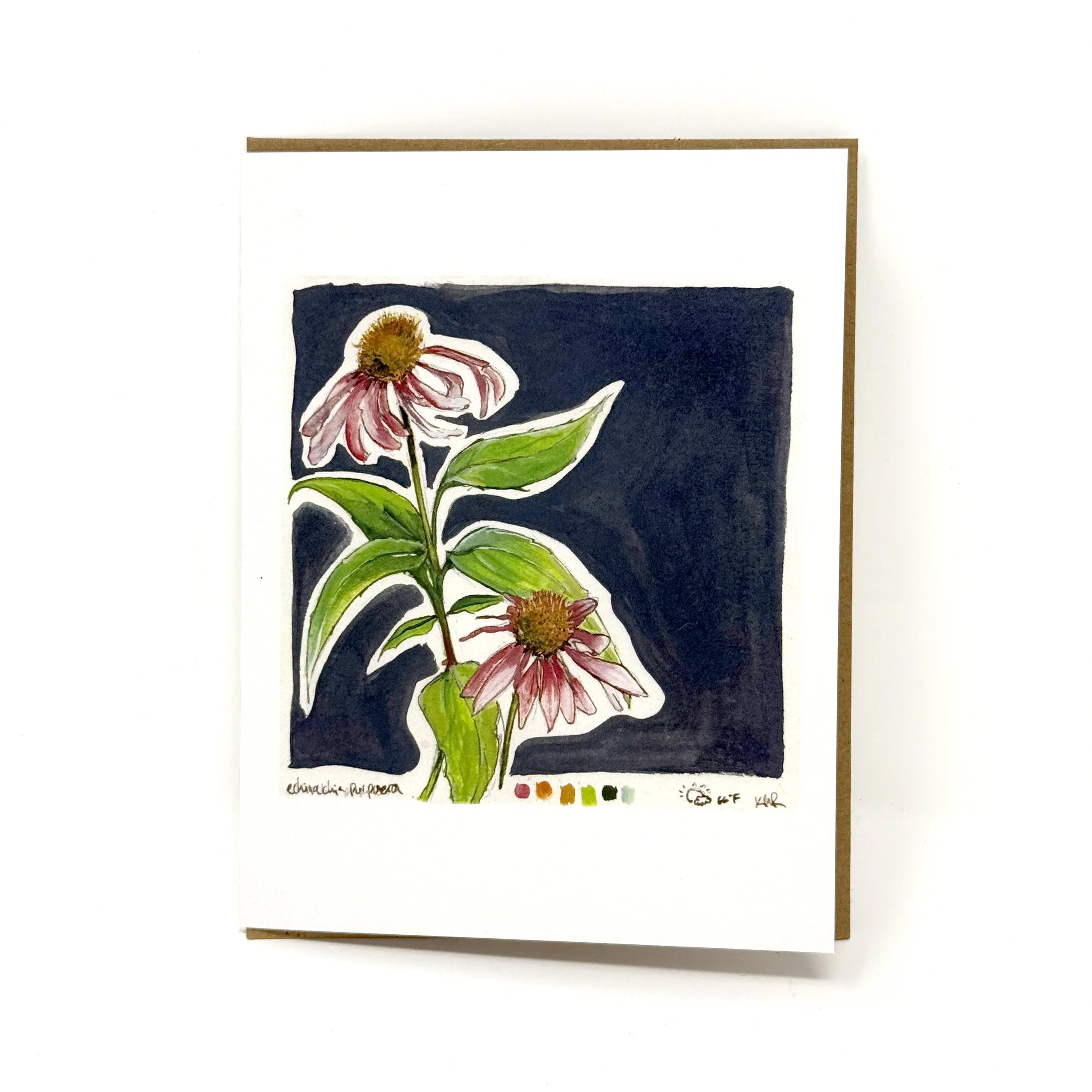 echinacea-grey-card.jpg