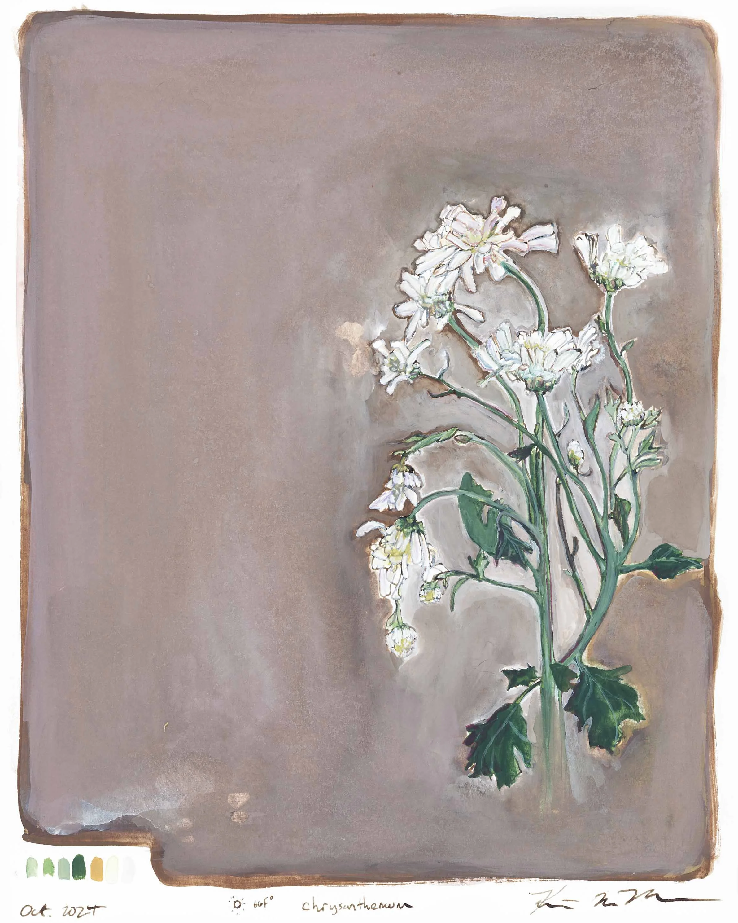 Chrysanthamum_full_lo.jpg