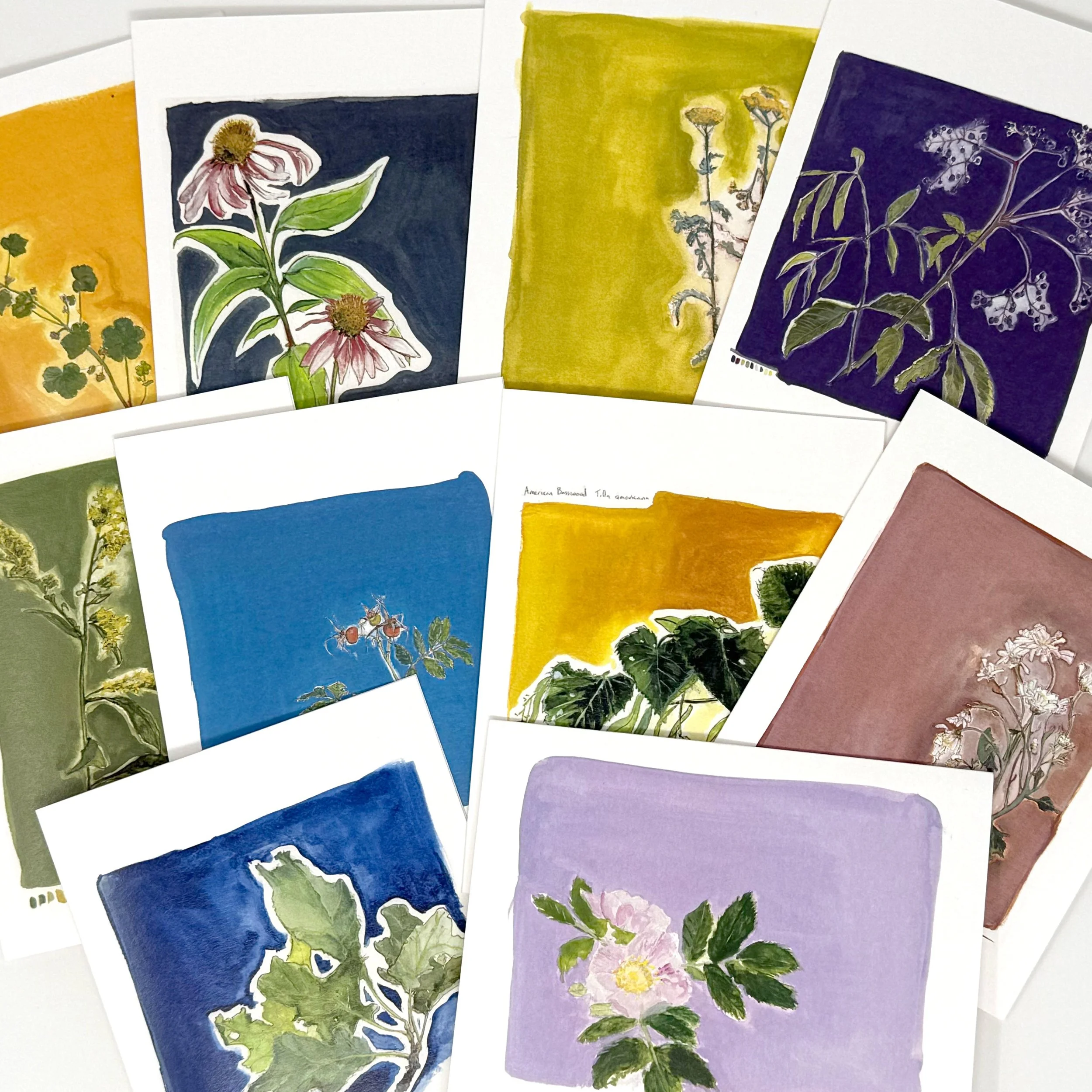 botanical-card-set1.jpg