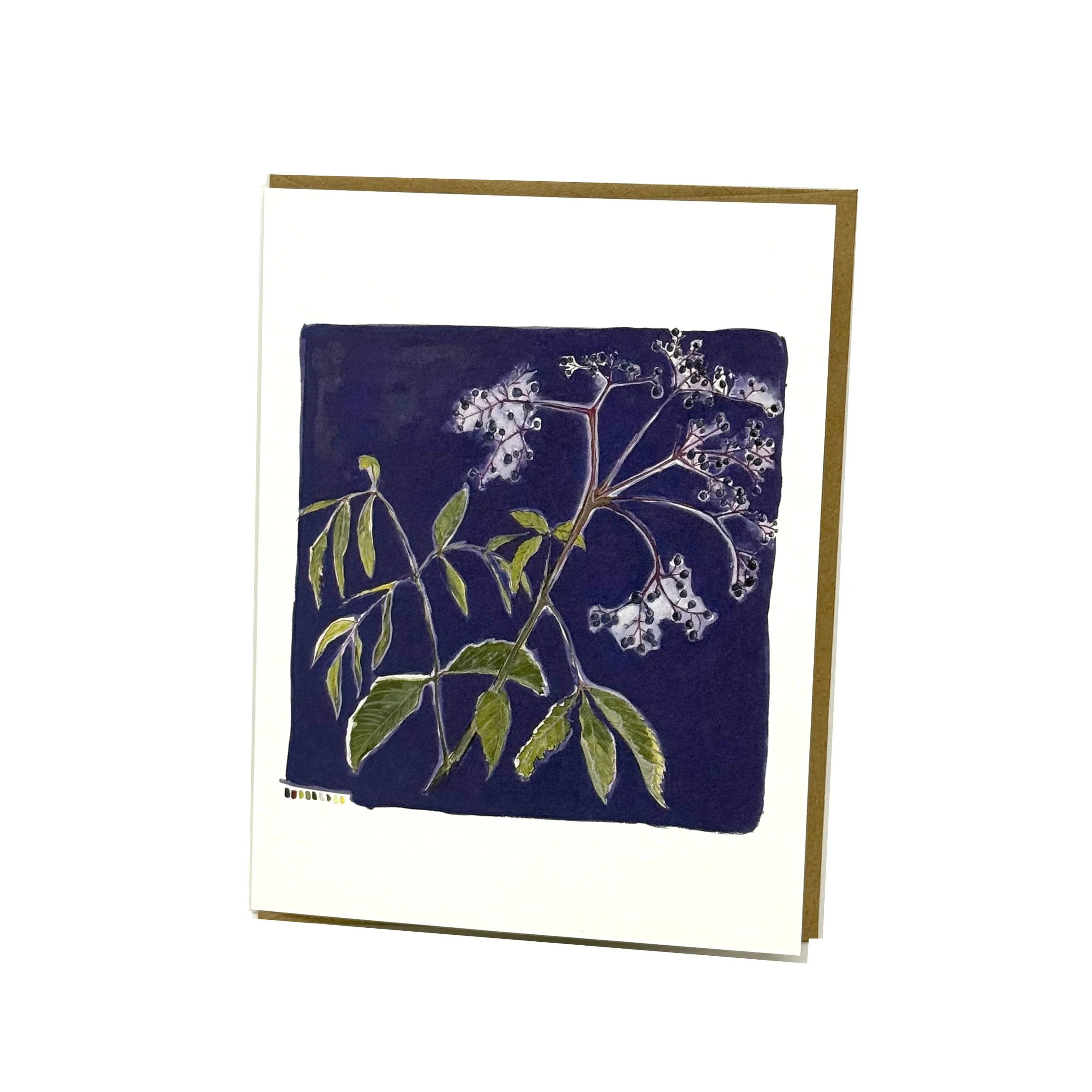 elderberries-card-lo-f.jpg