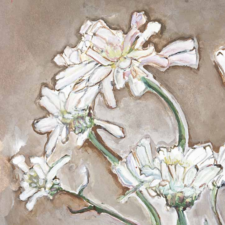 Chrysanthamum_D1_lo.jpg