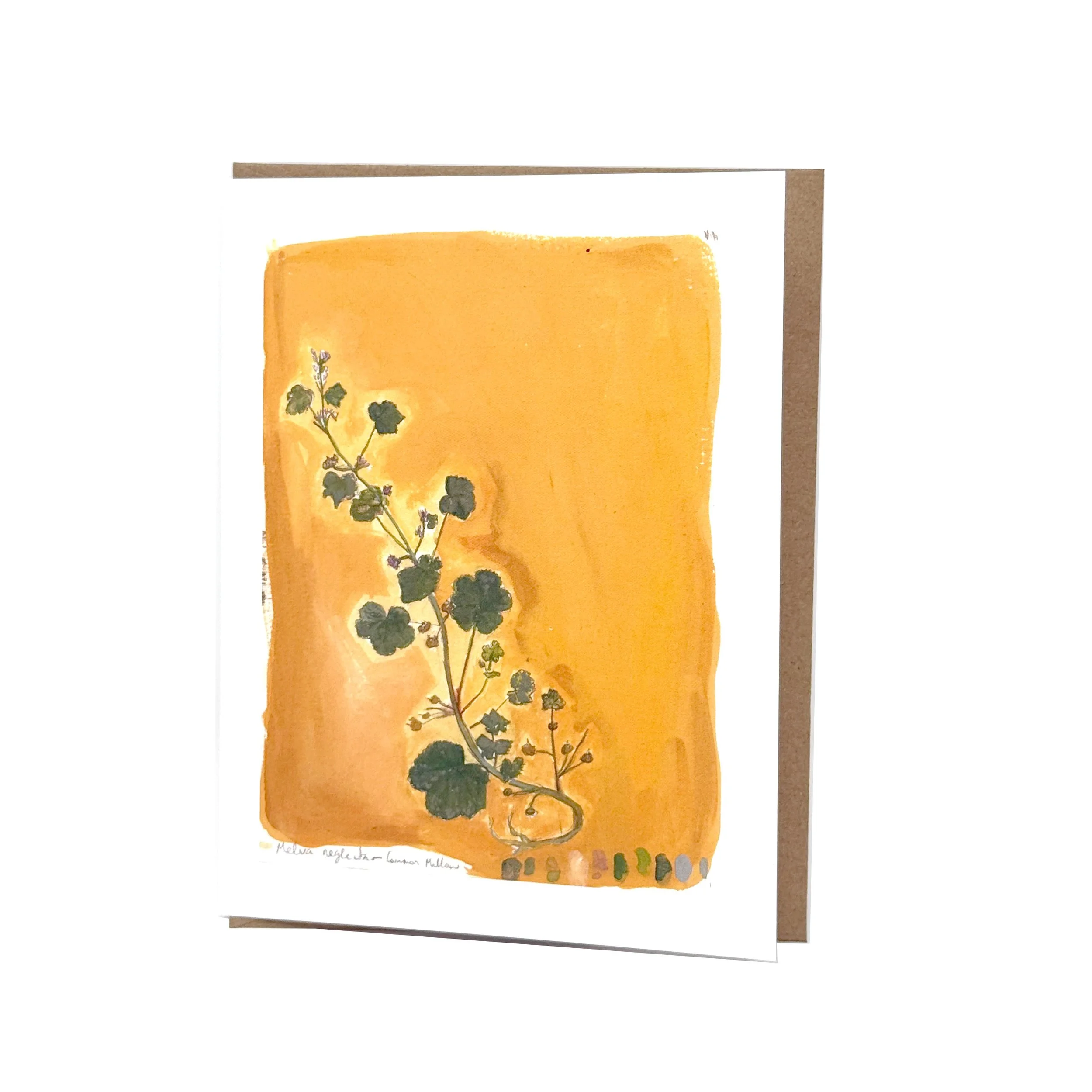 common_mallow-card-lo.jpg