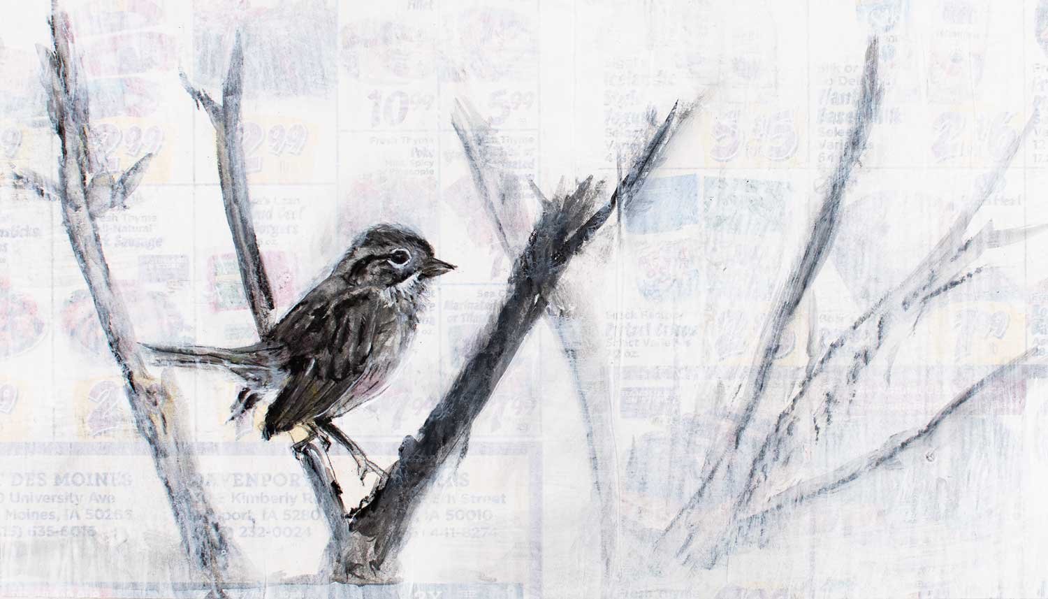 Sold | Swamp Sparrow
