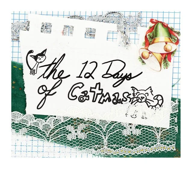 12 Days of Catmas