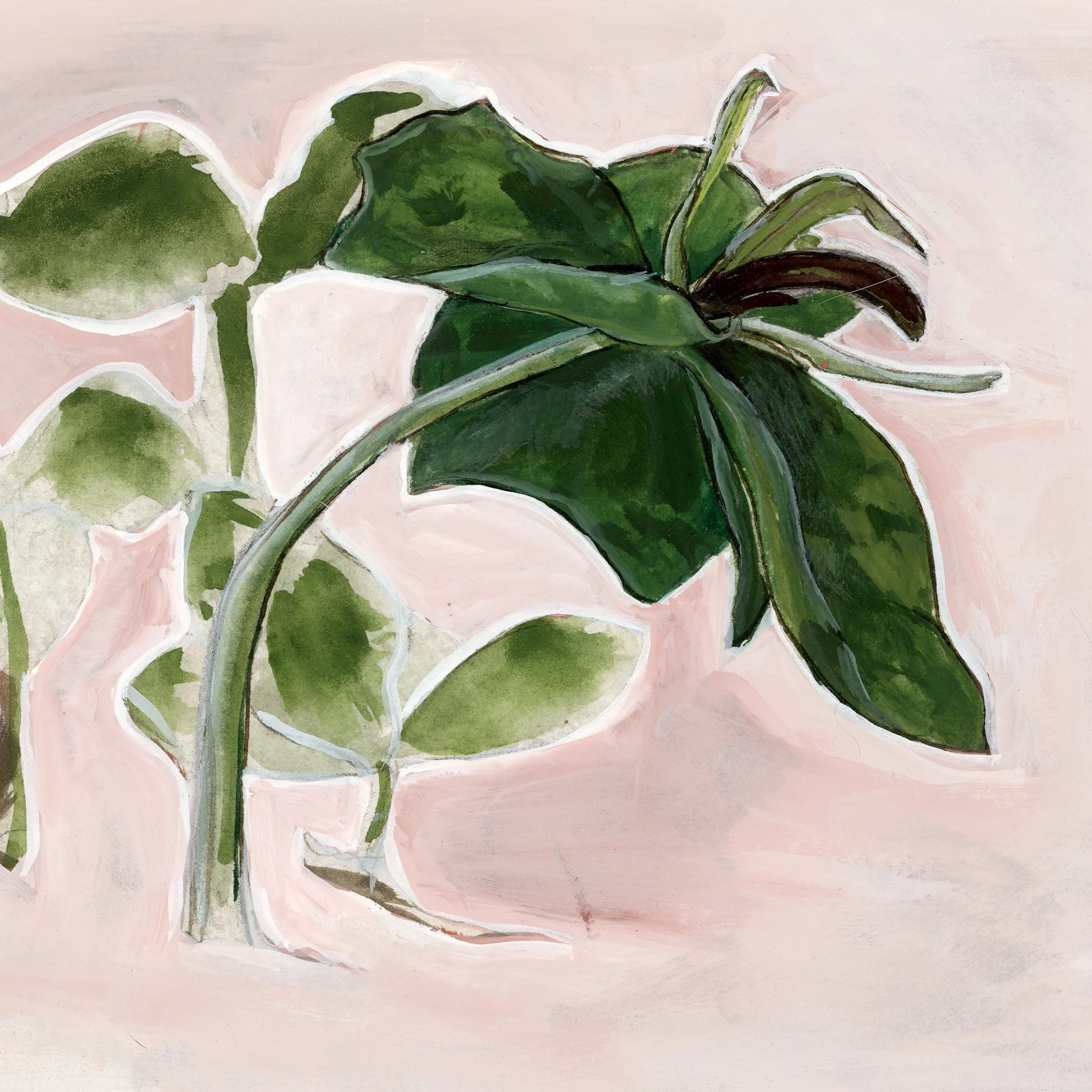 Trillium | Original Gouache Painting