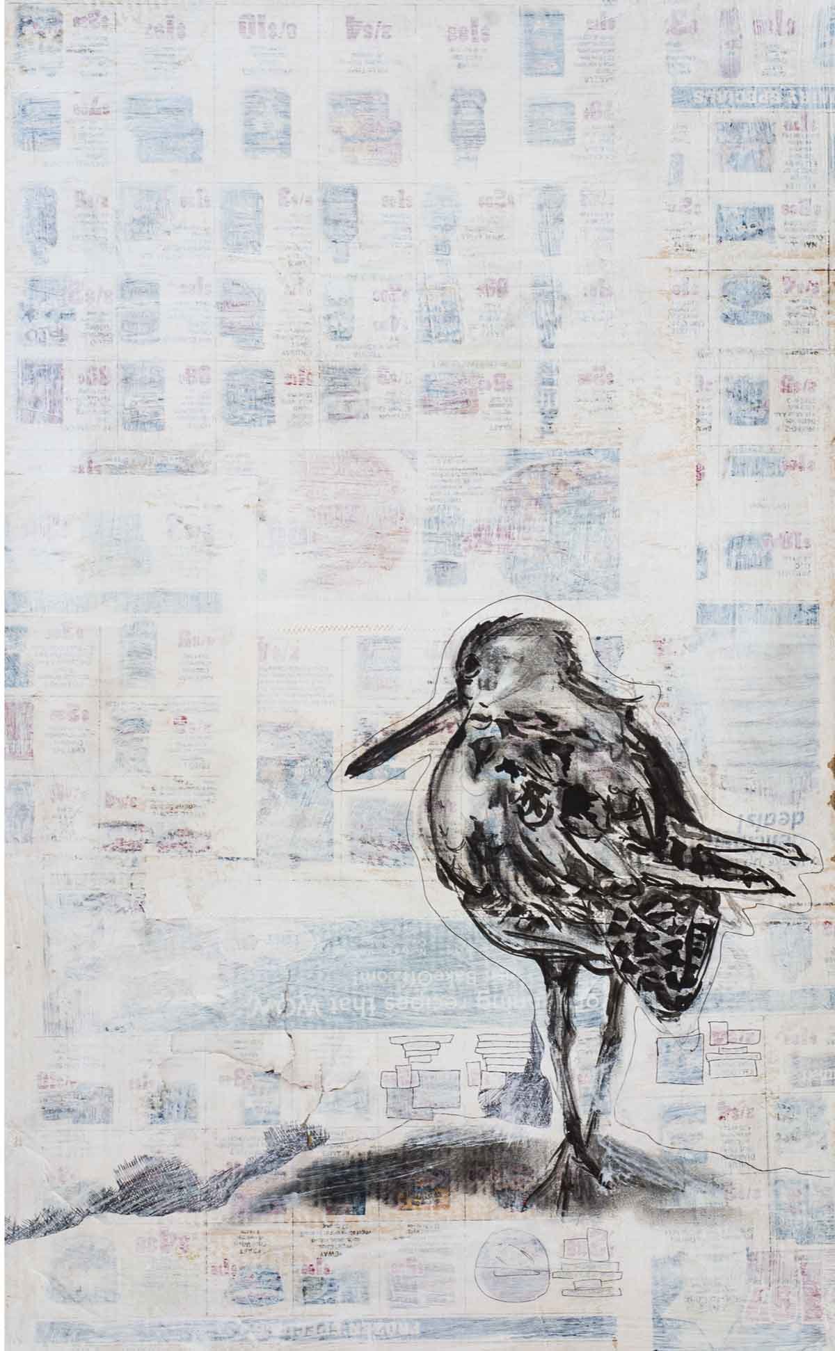 shortbilleddowitcher-low.jpg