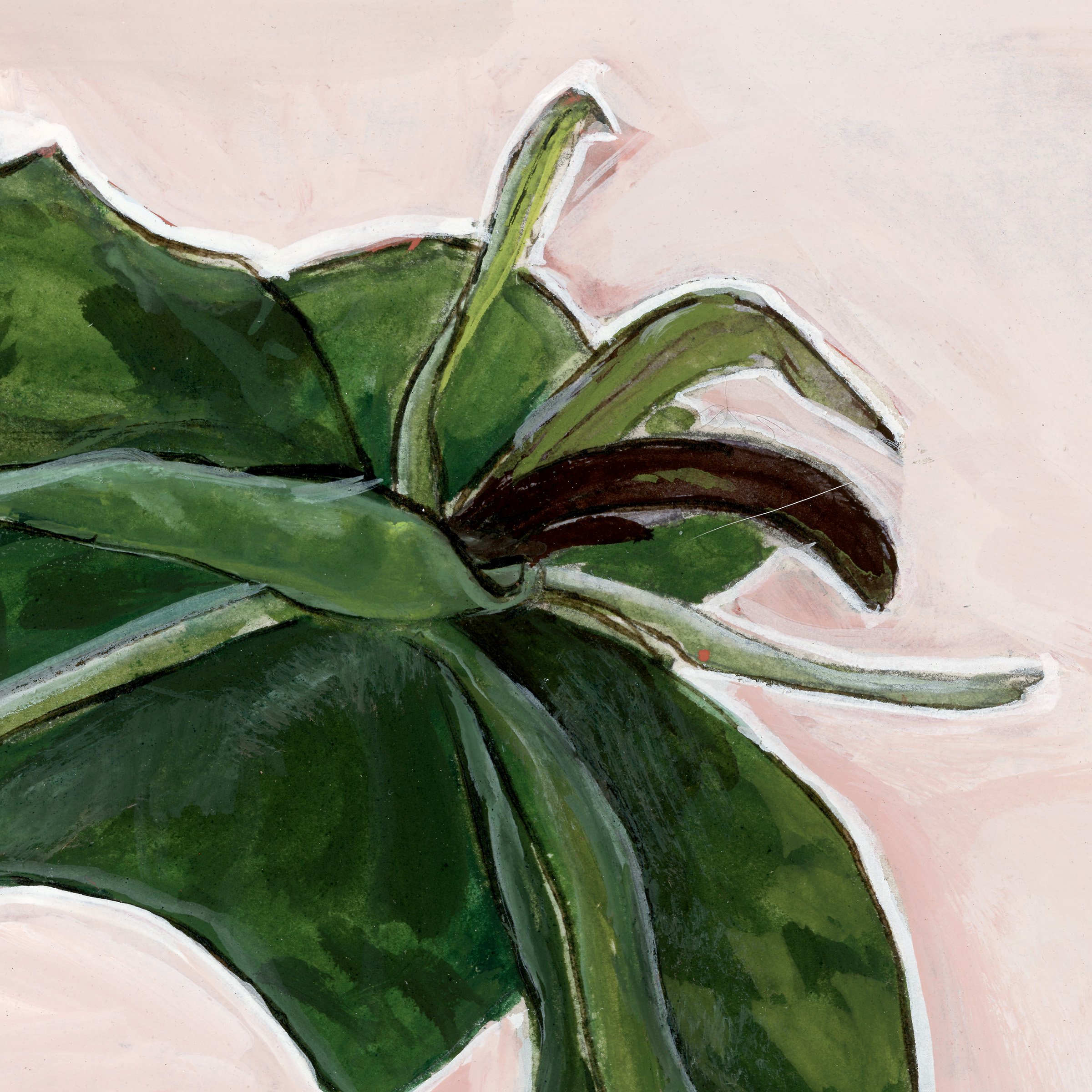 trillium-web-crop2.jpg