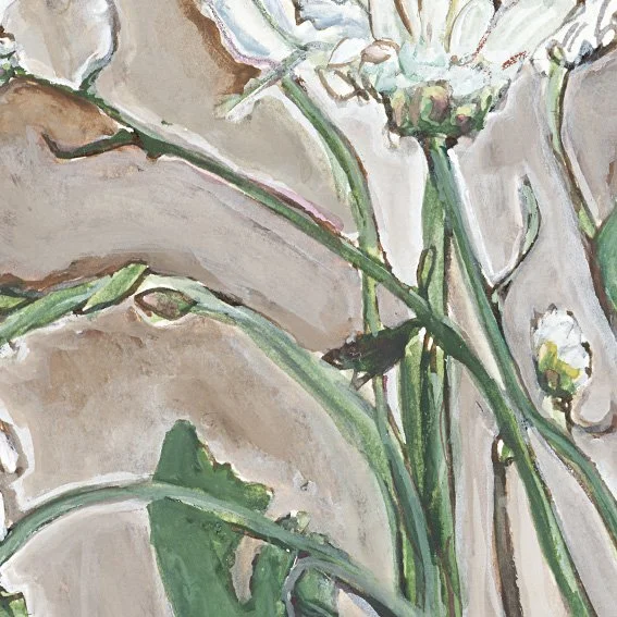 Chrysanthamum_D3_lo.jpg