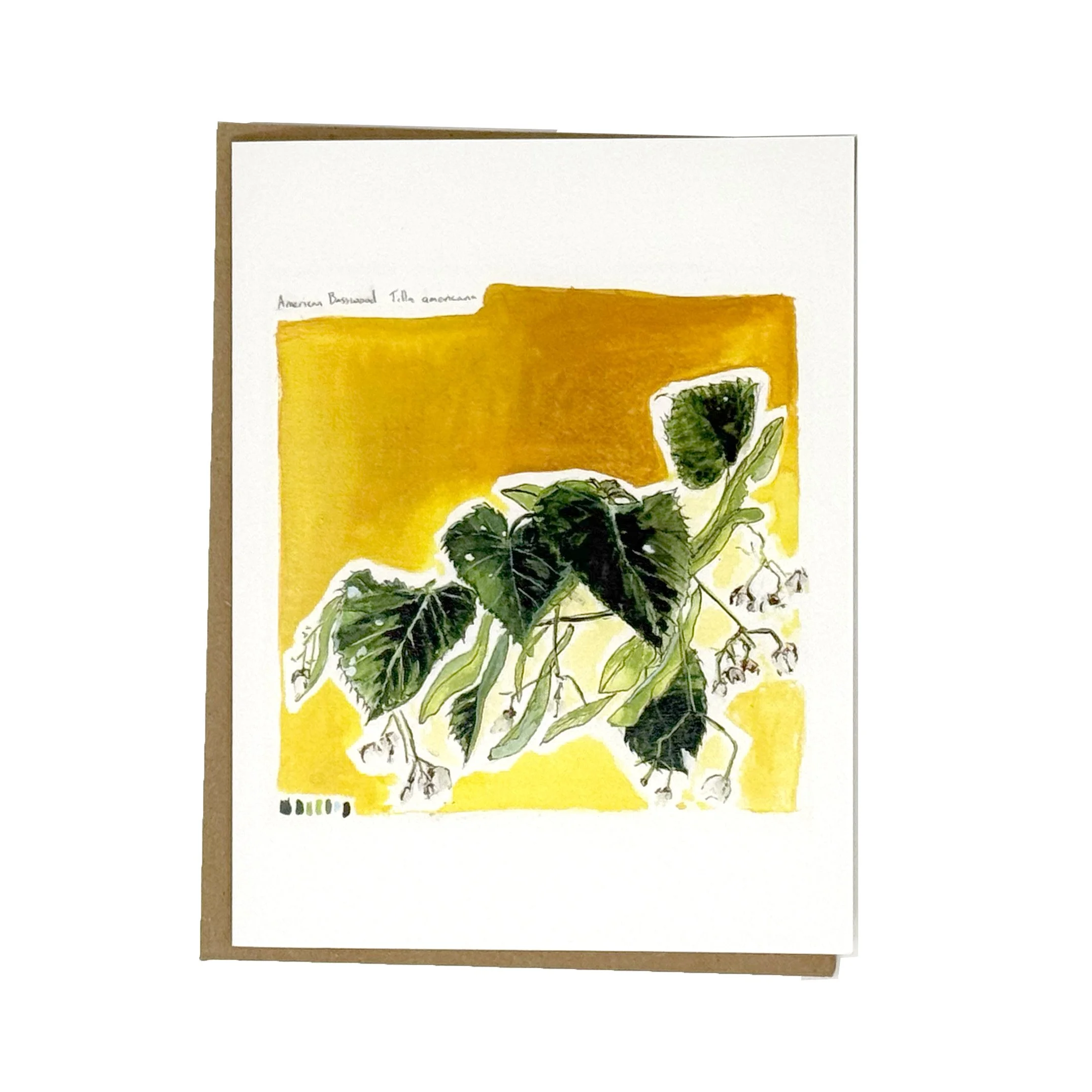 americanbasswood-card-lo.jpg