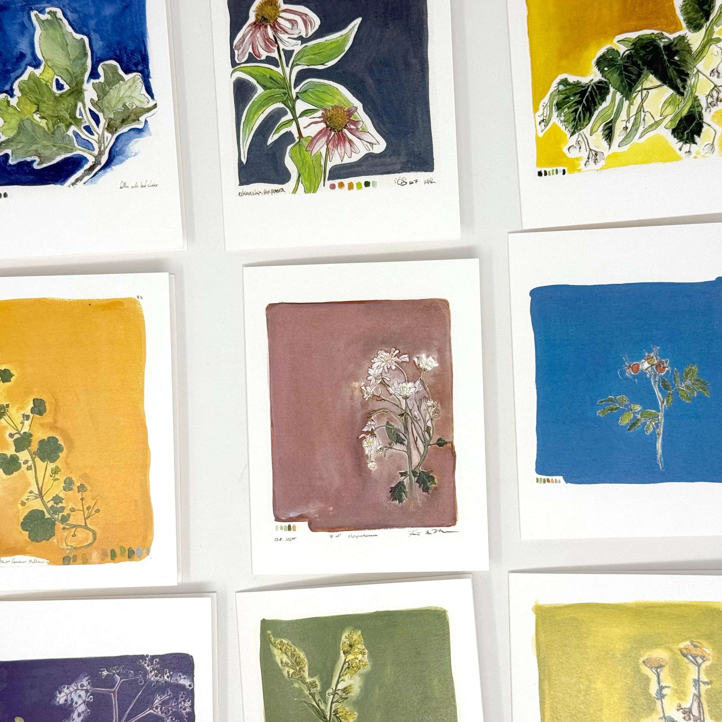 botanical-card-set2.jpg