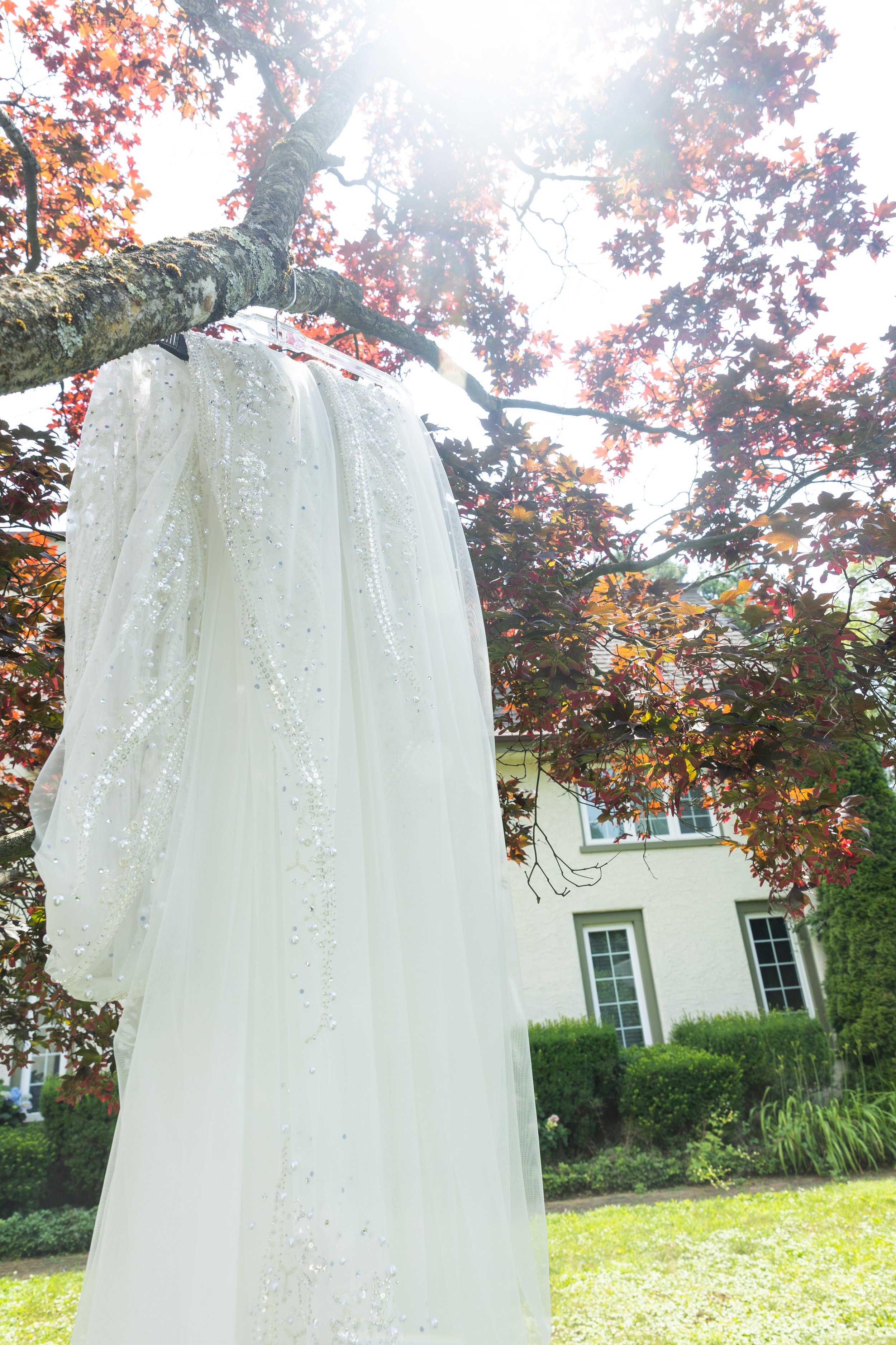 Copy of _MG_0064.jpg