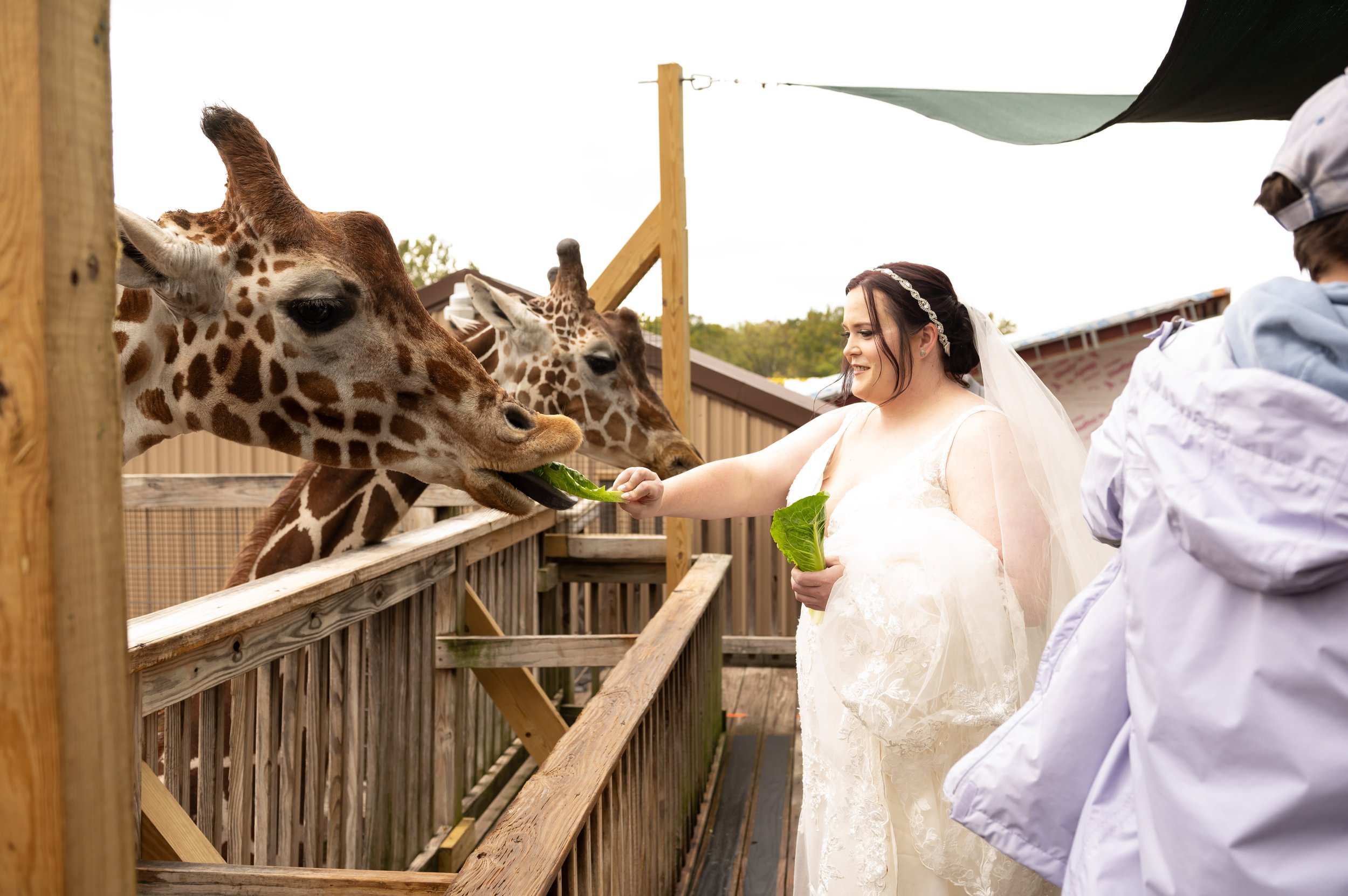 168 NIKON CORPORATION NIKON Z 6_2 6064x4040_000475.jpg