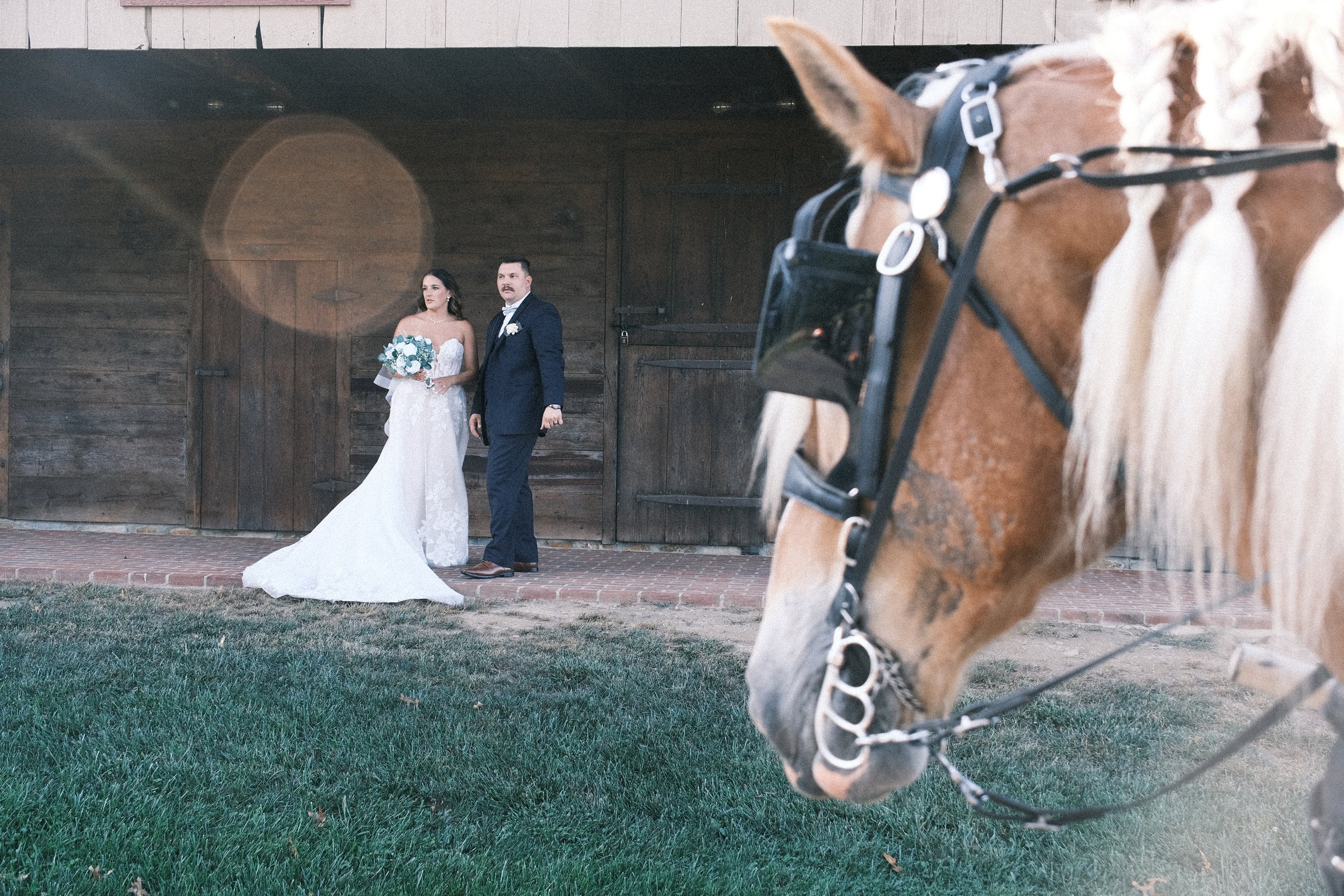 A bride and groom stand outside a rustic barn, with a horse in a bridal in the foreground.