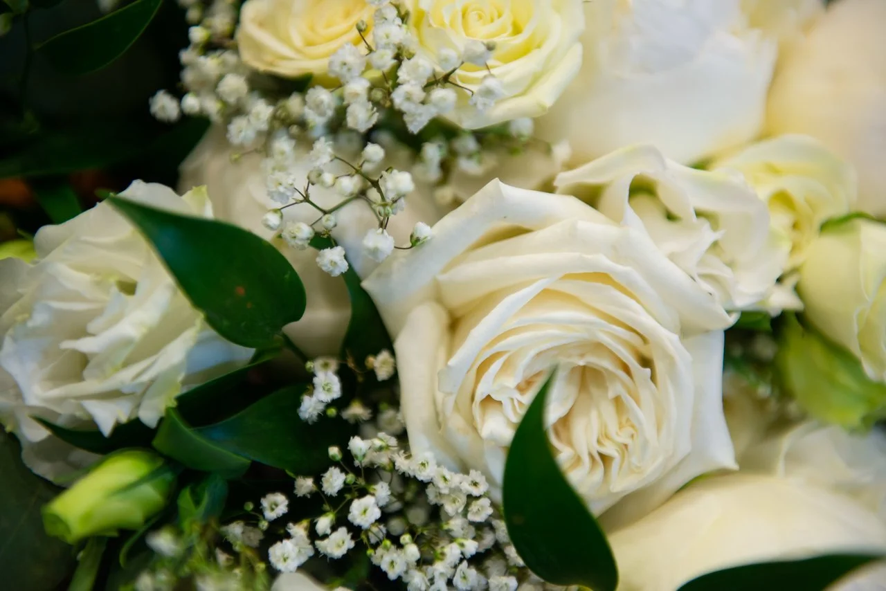 DSC_091 GV3_6243-X2.jpg