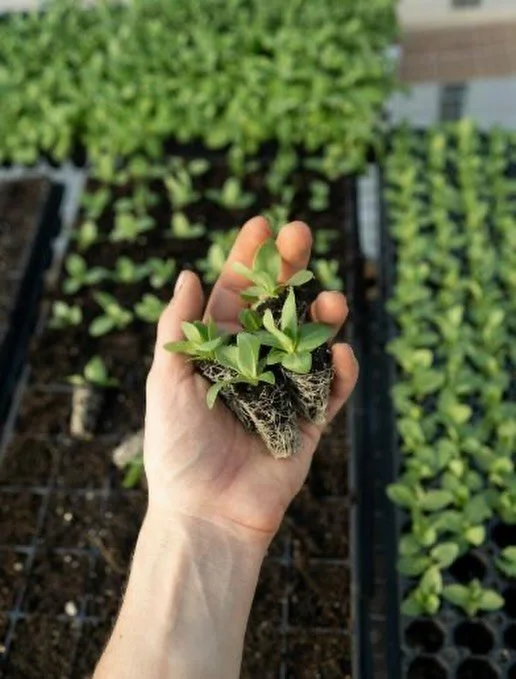 I&rsquo;m really looking forward to this conversation ✨

On May 13th, I&rsquo;ll be speaking at @theconduitlondon as part of a panel on:

Health &amp; the Modern Food System: Understanding Sensitivities and How to Heal

We&rsquo;re seeing more and mo