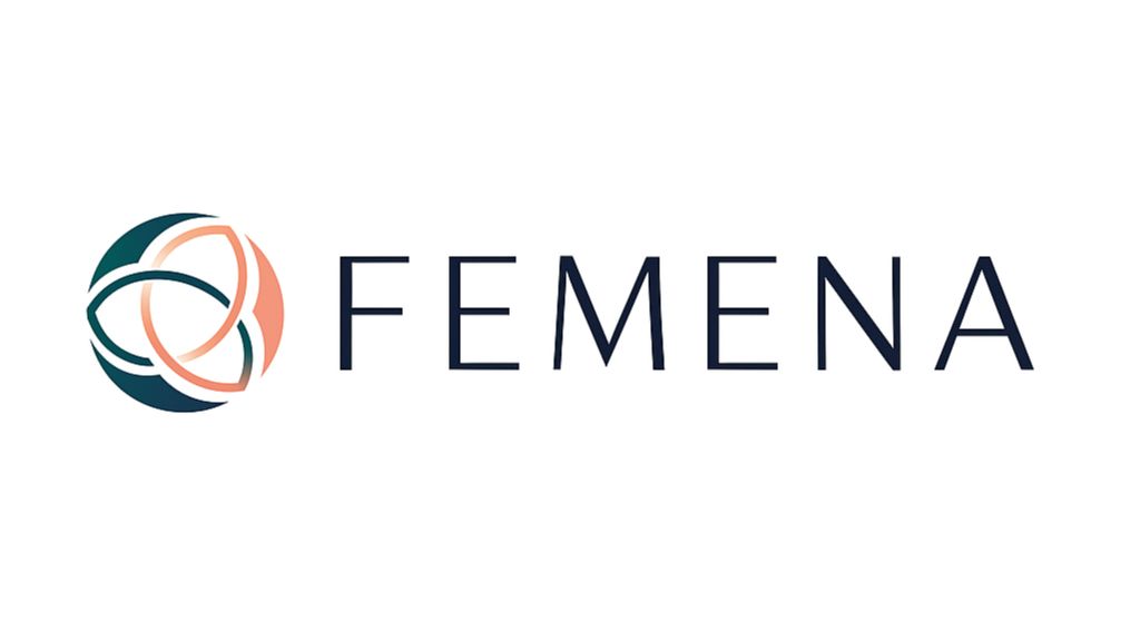 CoLABOR integra a rede do projeto europeu FEMENA dedicado ao empreendedorismo feminino