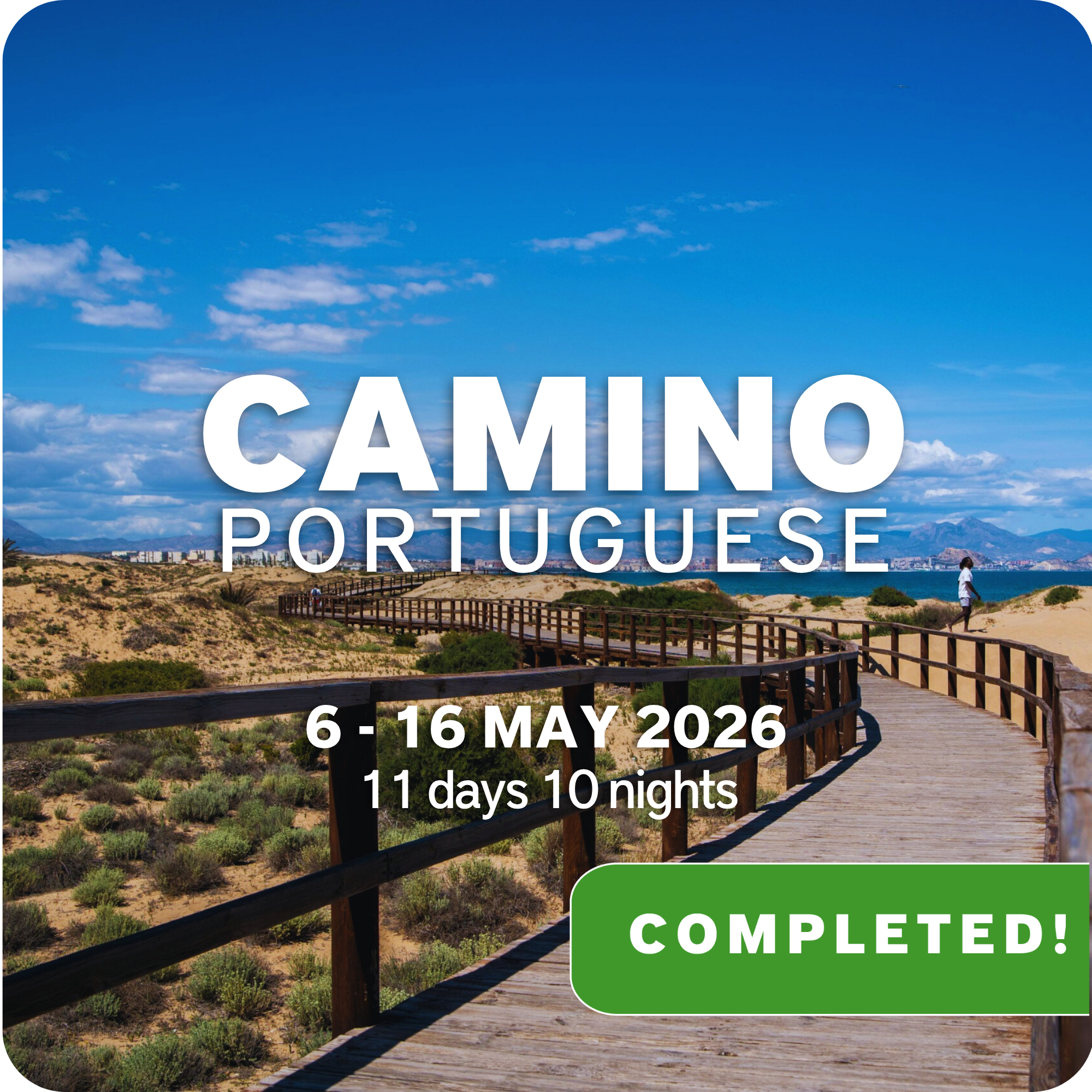 CAMINO Portuguese 2026