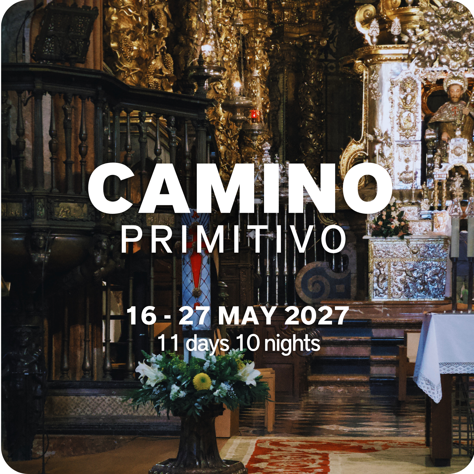 CAMINO - 100KM