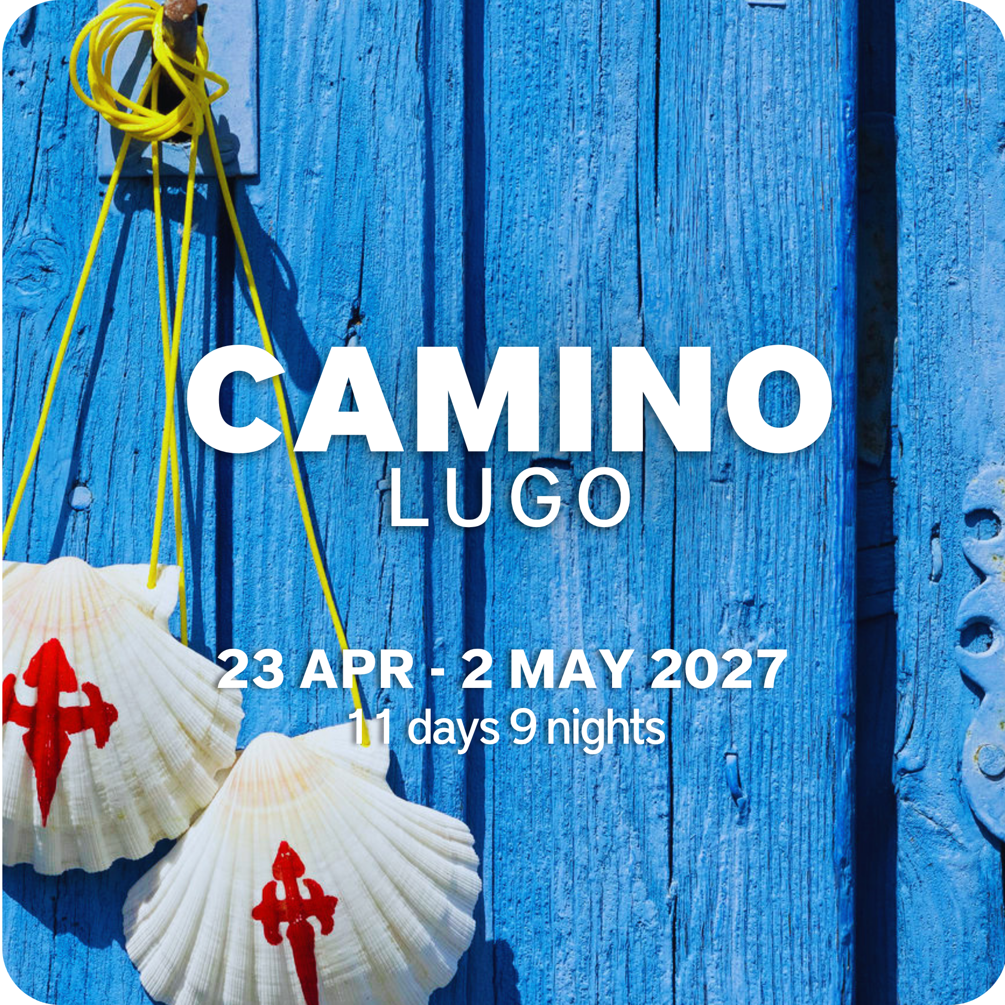 CAMINO - LUGO