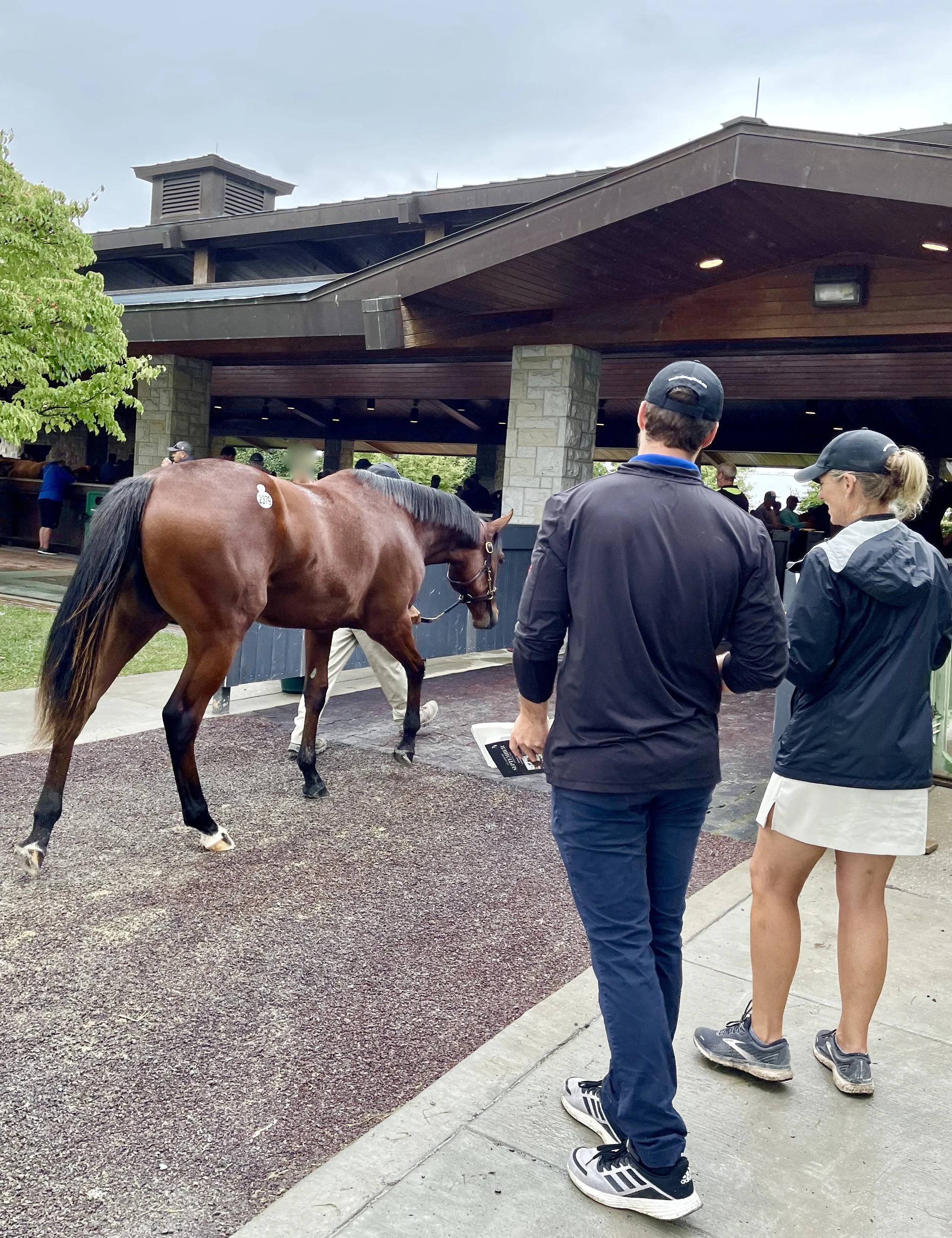 Three School Subjects to Ace for a Career in Horse Racing