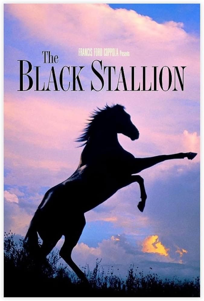 The Black Stallion.jpg