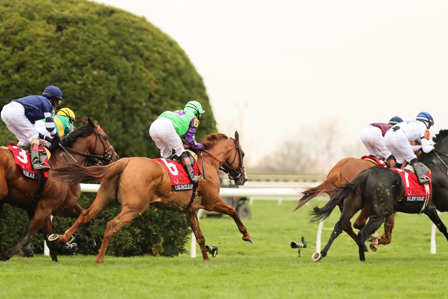 🌟 Reminder: Amplify Horse Racing Mentorship Program applications close next week!! 👀

Are you a student or young adult eager to learn more about the Thoroughbred industry? Our mentorship program is your chance to connect one-on-one with a professio