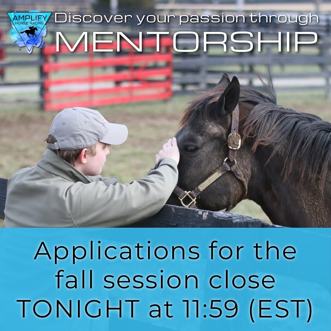 ⏳ The countdown is on!

Applications for Amplify&rsquo;s Mentorship Program close TONIGHT at 11:59 PM EST!

Get your application in! This program offers one-on-one mentorship with experienced professionals in the Thoroughbred industry, monthly check-