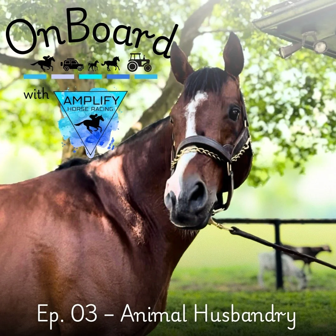 What do Thoroughbreds and goats have in common? More than you think!

In our latest OnBoard with Amplify episode, we&rsquo;re at Mill Ridge Farm with farm manager, Jeremy Harlow. From mares and foals to his Kiko goat herd, Jeremy shows us how the fun